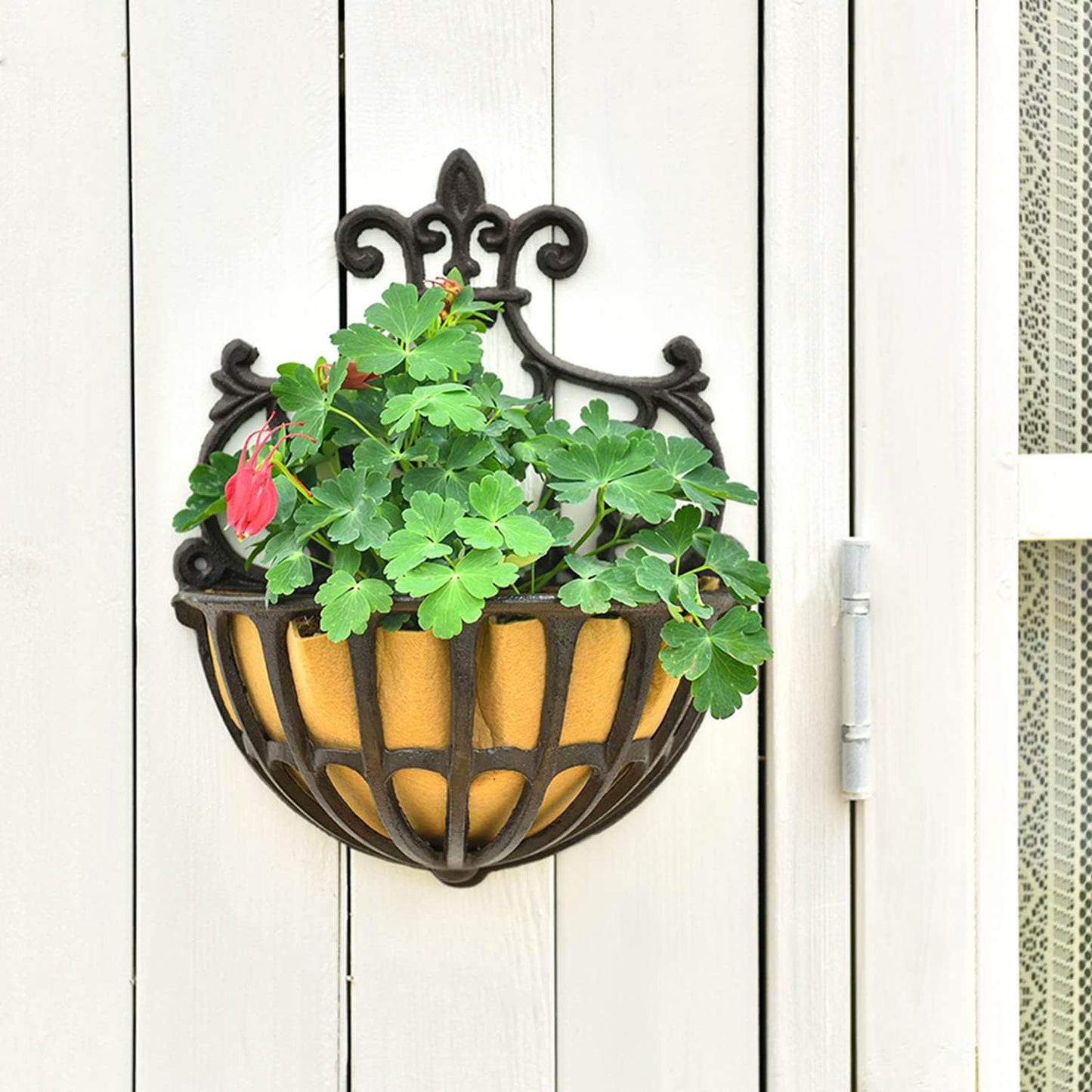 Sungmor 4 Pack Cast Iron Wall Planter Basket - Indoor Outdoor Wall Mounted Flower Pot Holder - Metal Hanging Planter Basket - Wall Decor Succulent Air Plants Container