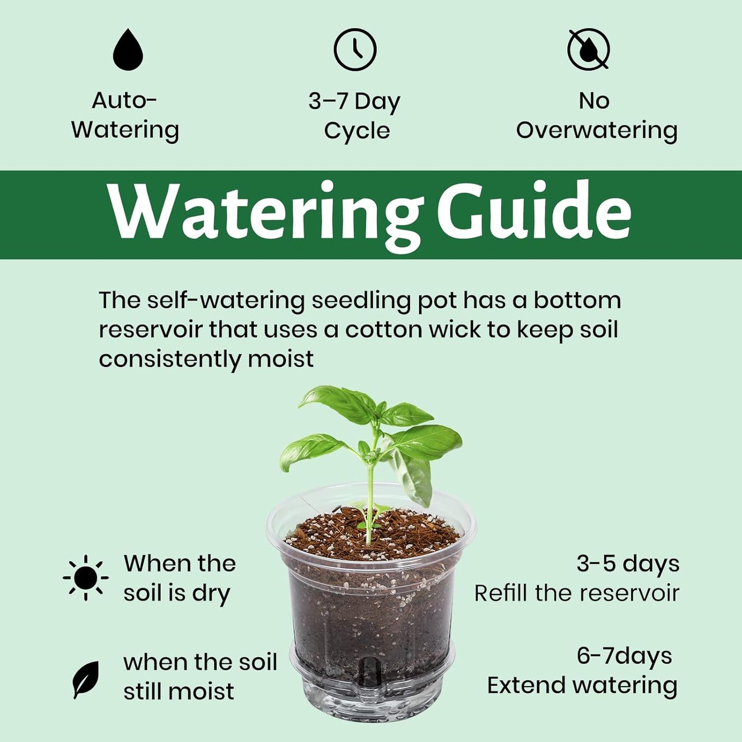 Bluepro 18 Pack 6.5/5/4 Inch Clear Self Watering Plant Pots with Bottom Water Tray & Watering Rope, Transparent Nursery Pots with Drainage for Seedlings, Herbs, and Houseplants