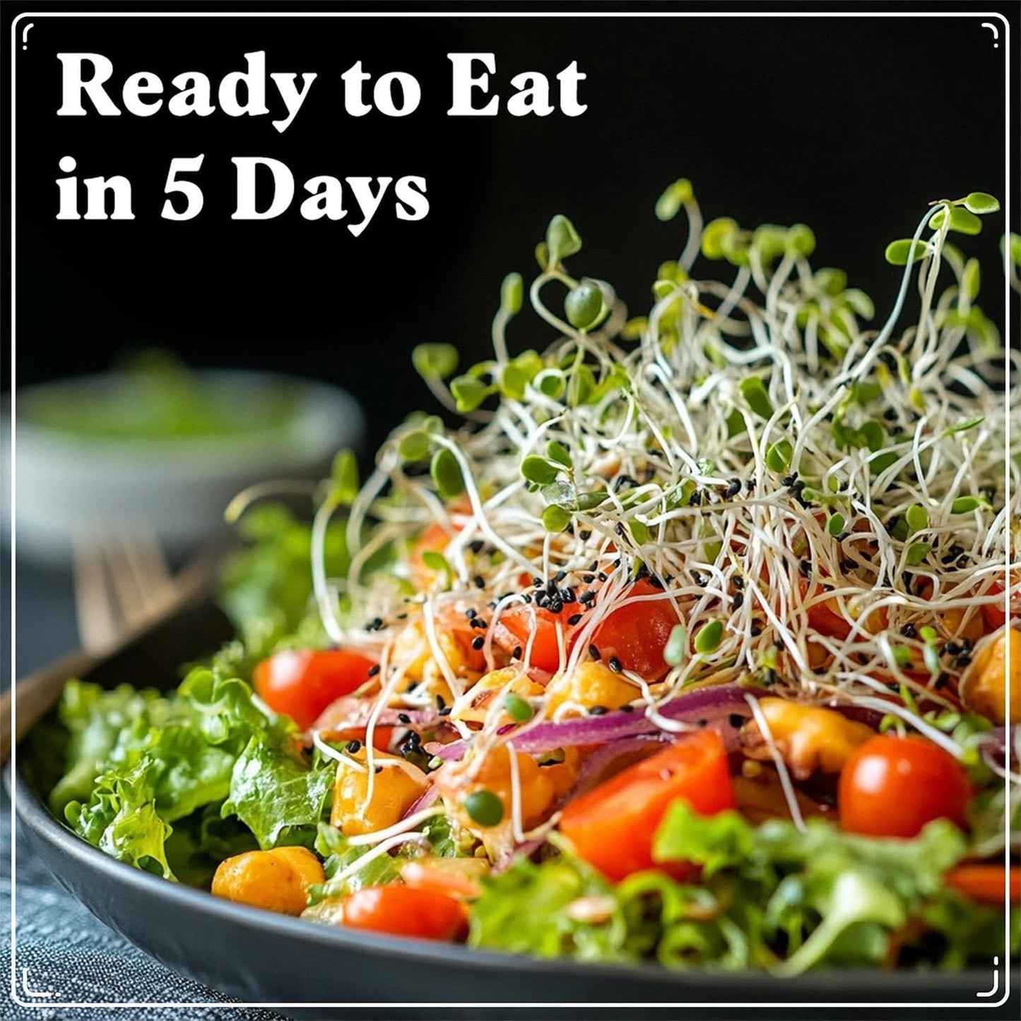 Seedboy Organic Sprouting Seeds - Hormone Balance Blend - Non-GMO USA Grown Microgreens Mix - Golden Flax, Red Clover, Fenugreek - Makes 8 Quarts of Sprouts, 24 Servings (8oz) (Hormone Balance Blend)