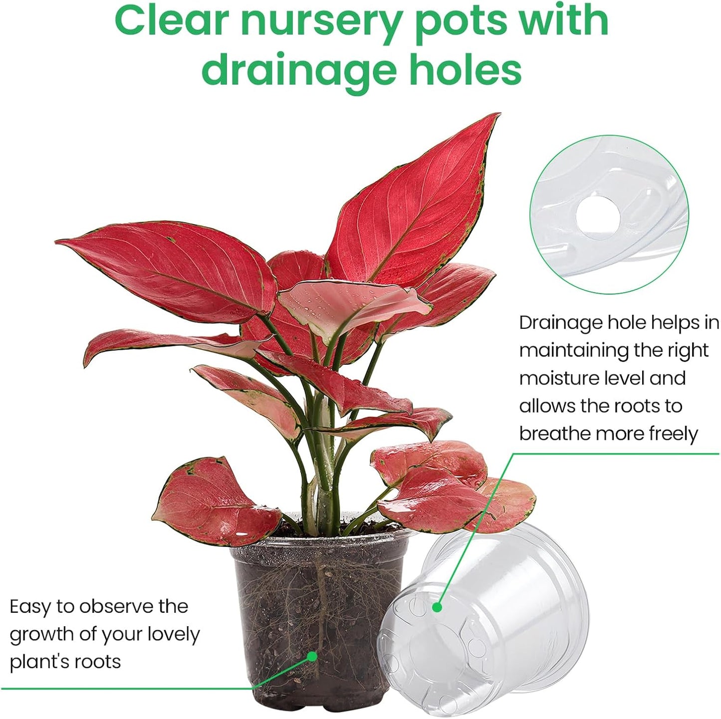36 Packs 5/4/3.5 Inch Reinforced Clear Nursery Pots with Drainage Hole, Transparent Variety Pack Plastic Plant Pot Seedling Planter Seed Starter Flower