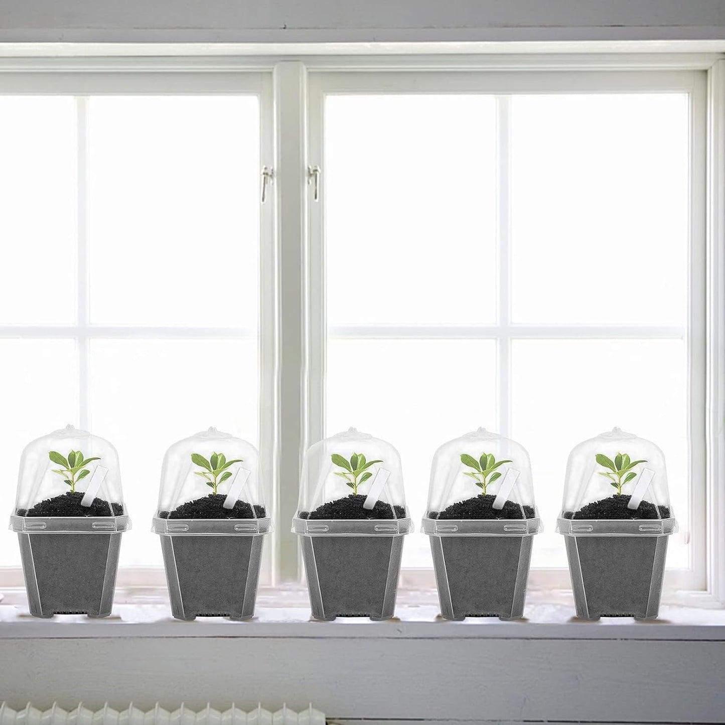 EBaokuup 50 Pcs Clear Plant Nursery Pots with Humidity Dome-3" Reusable Plastic Gardening Pot with Labels-Small Seed Starting Pots for Seedlings,Vegetables,Succulents,Cuttings