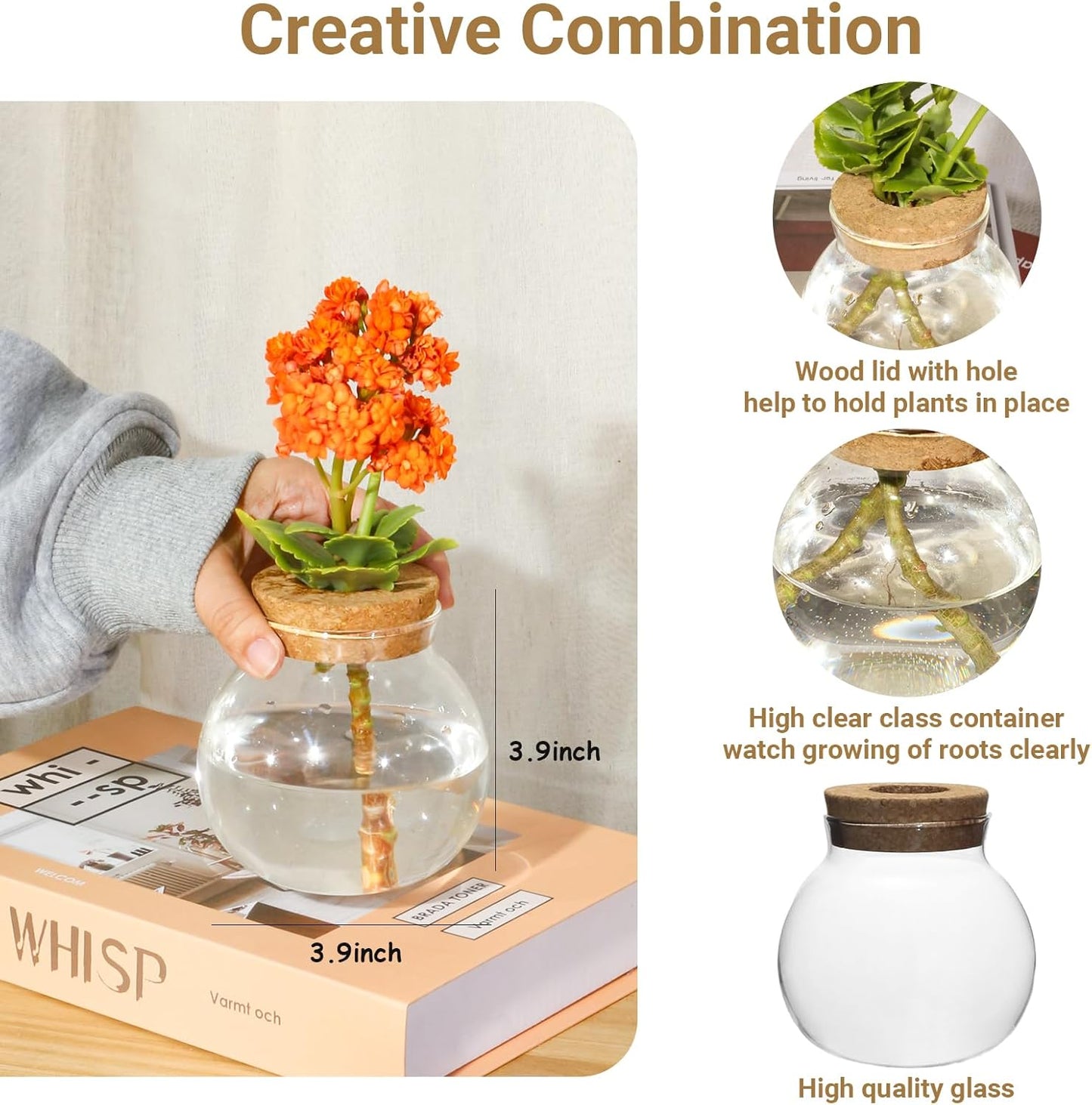 Plant Propagation Station,Hydroponic Terrarium Vase,Desktop Glass Planter Station,for Houses,Garden Decorations,ropagating Hydroponic Plants,Centerpiece Office,Home Garden Decor (9)