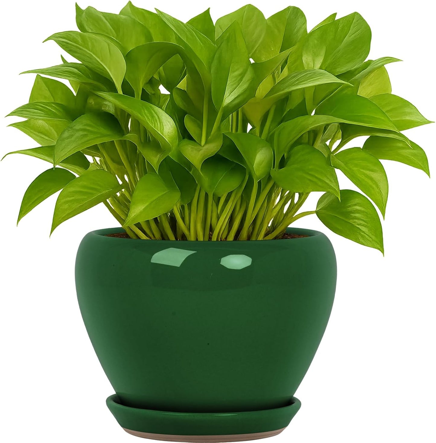 Deep Dream 6 Inch Plant Pots- Ceramic Planter Pot with Drainage Hole and Saucer, Round Flower Pot for Indoor Outdoor Succulent, Snake Plants and Cactus, Green