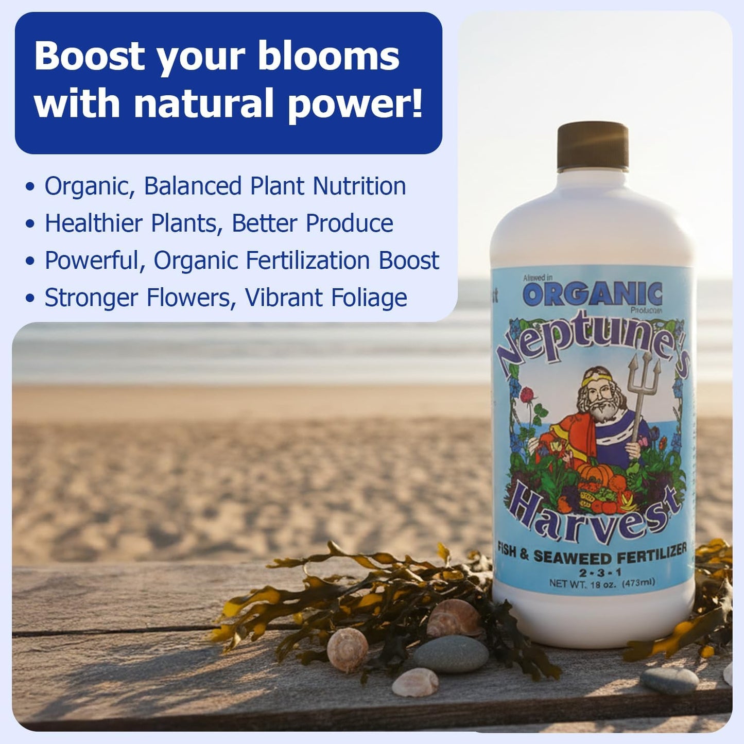Neptune's Harvest Fish & Seaweed Liquid Fertilizer (2-3-1) - 18oz Pint - Plant Food for Garden - Indoor & Outdoor Organic Plant Fertilizer for Vegetables, Flowers, Fruit, Trees & Lawns