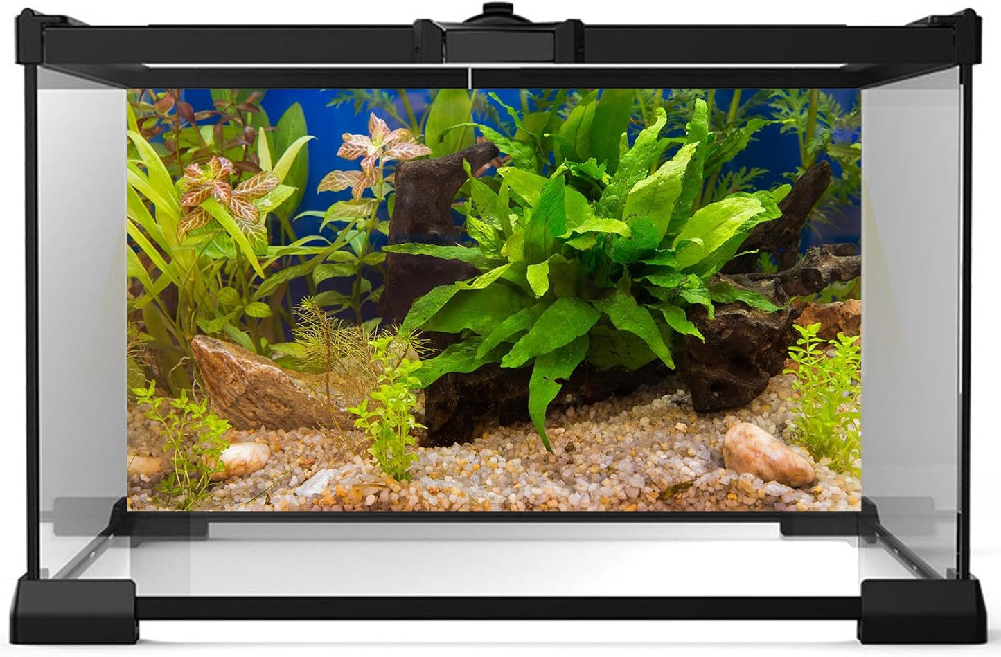 Aquarium Backdrop Underwater Grass Leaves Pebble Aquarium Background Vivid and Fresh Green Aquatic Plant Stone River Bed Fish Dead Wood Leaves Tank Background Decors Vinyl 72x18in
