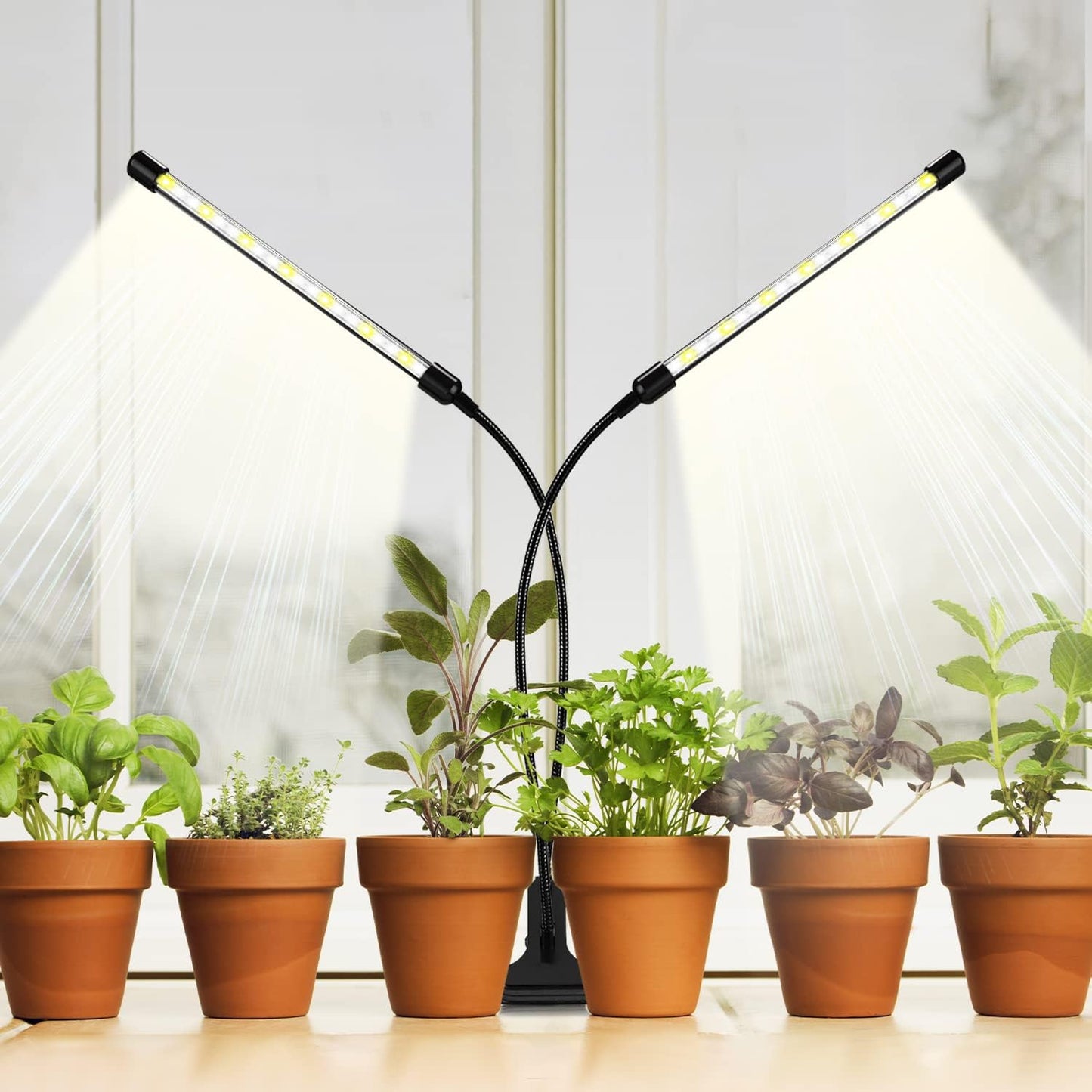 Plant Grow Light for Indoor Plants, Full Spectrum Indoor Grow Light (2 Head 2 Pack)