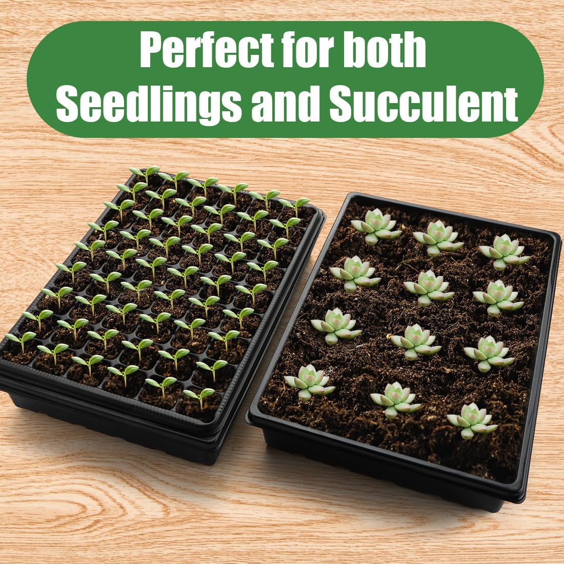 9pack Seed Starter Tray with Tall 5'' Dome-Thick Plastic Deep Cell Large Plant Germination Trays, Heavy Duty Seed Starting Kit, 486 Cells Plant Seedling Tray for Balcony Greenhouse (54 Cells per Tray)