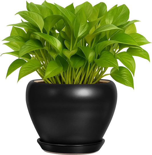 6 Inch Plant Pot - Ceramic Planter with Drainage Hole and Trays, Modern Round Flower Pot, Planters for Indoor Outdoor Plants, Home Garden Decor, Black