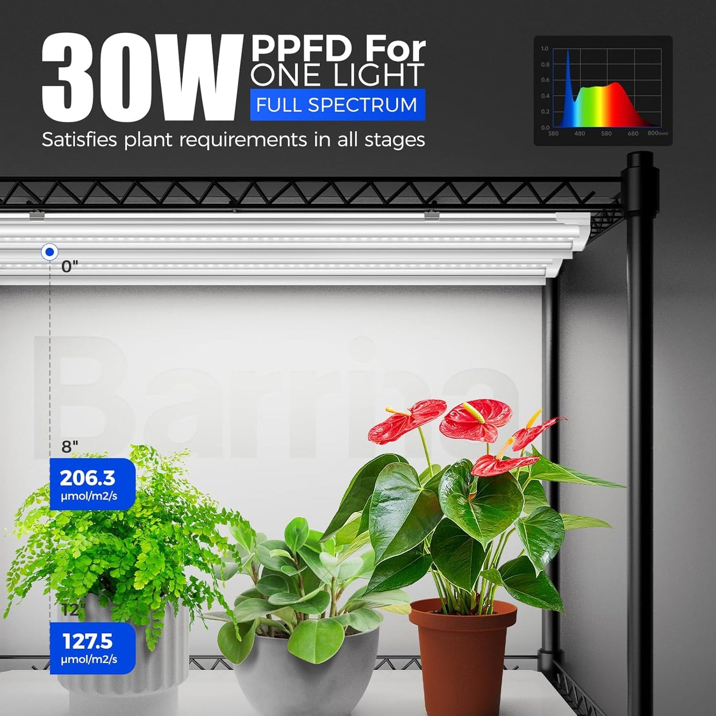 Barrina CX5 Plant Stand with Grow Lights for Indoor Plants, 4-Tier Plant Shelf with T8 3FT 30W(Per Light) Full Spectrum Grow Light for Seed Starting, Succulent, Settable Timer Socket 35.4"x13.8"x59"