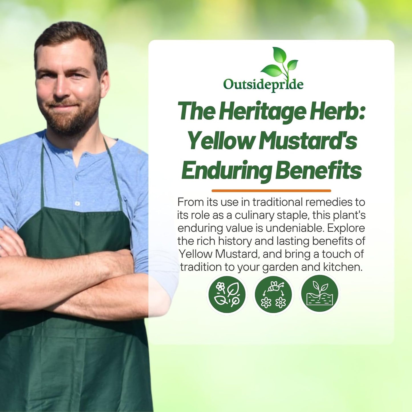 Outsidepride Yellow Mustard Seeds - 10000 Pcs Nutrient-Rich, Flavorful Annual Microgreen Seeds for Planting, Easy-to-Grow, Ideal for Indoor & Outdoor Cultivation, Soil & Hydroponic Systems