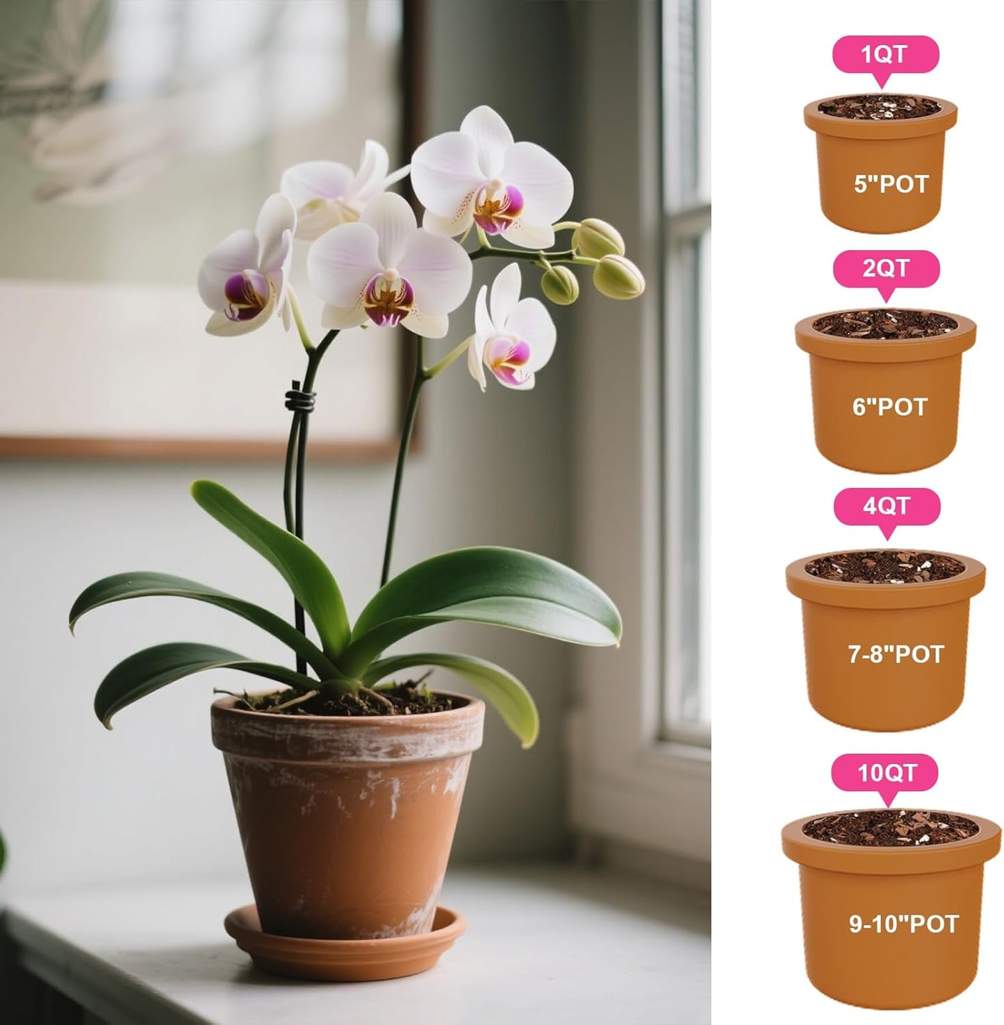 Doter Organic Orchid Potting Mix & Bark Blend 1qt - All Natural, Fast Draining Soil for Phalaenopsis, Dendrobium, Oncidium Plants