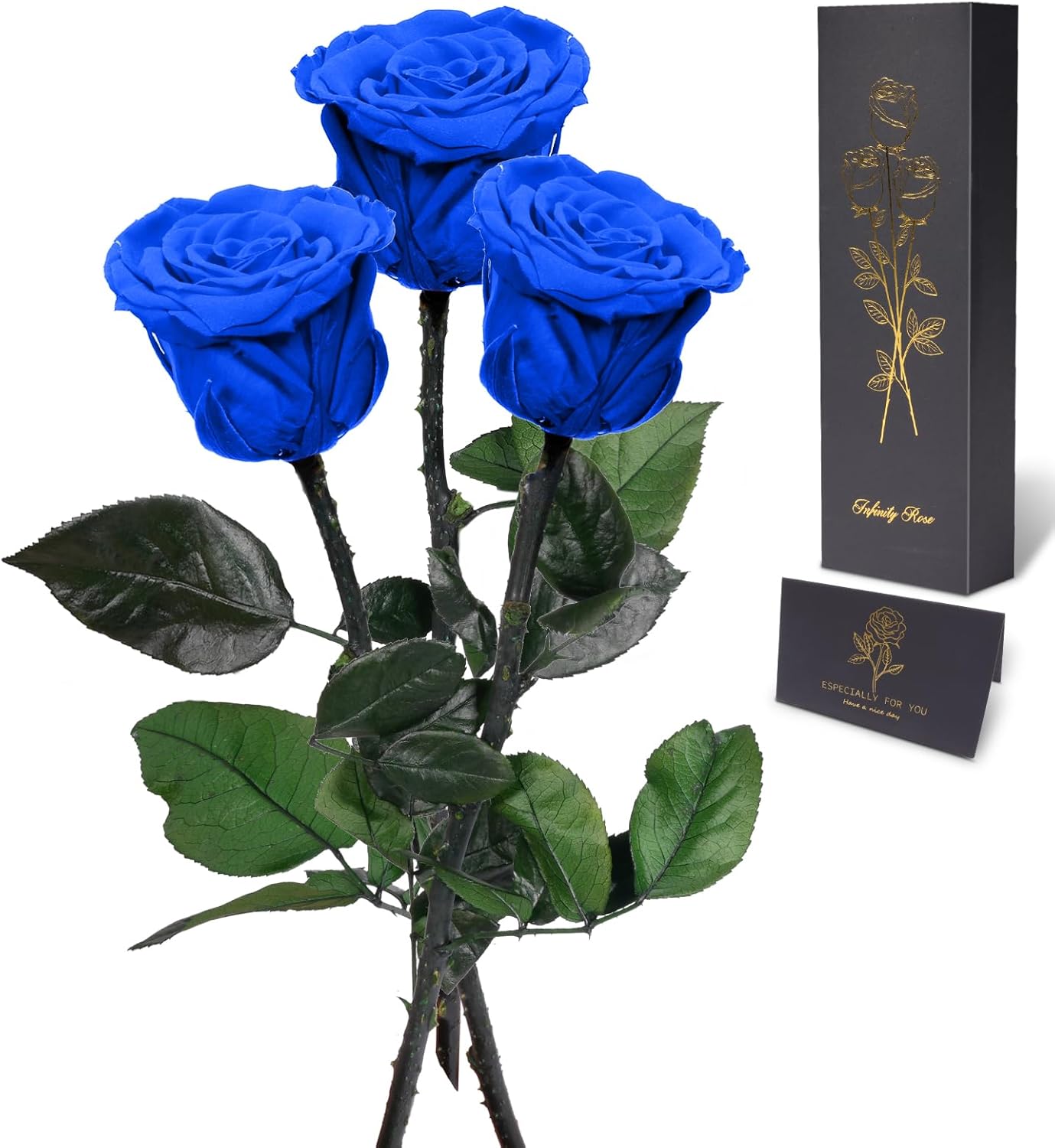 Yamonic Preserved Flowers Rose Gifts for Women Mom, Mothers Day Flowers Gifts for Mom, Real Flower Rose Birthday Gifts for Her, Grandma, Wife,Girlfriend Gifts on Christmas,Valentine's Day,Anniversary