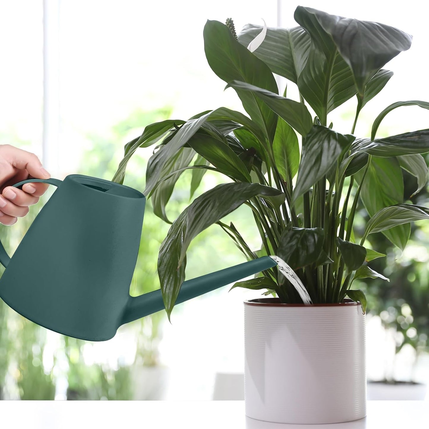 Plant Watering Can - Plastic Indoor and Outdoor - 1/2 Gallon - Blackish Green