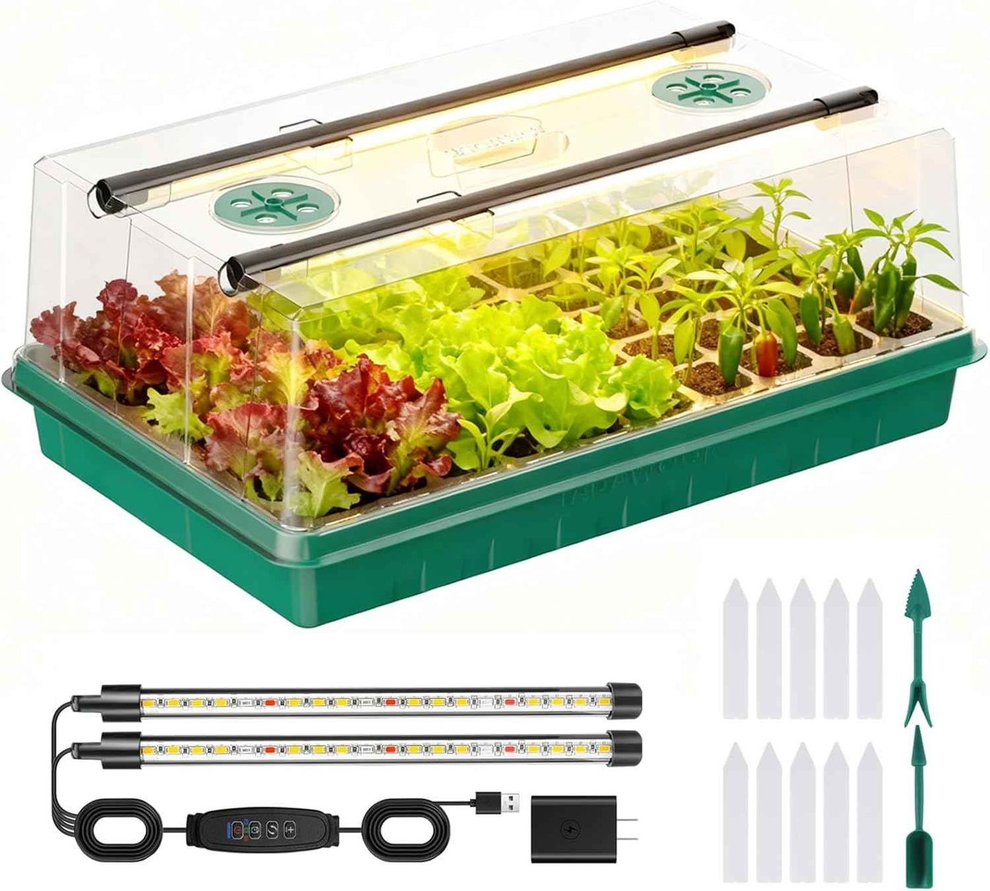 Adawook Seed Starter Trays with Grow Lights, Color Change Grow Lights for Seed Starting Kit, 3 Timming Set, Indoor Plant Growing Kit for Gardeners, Germination Trays Kits, Gardening Gifts (60 Cells)