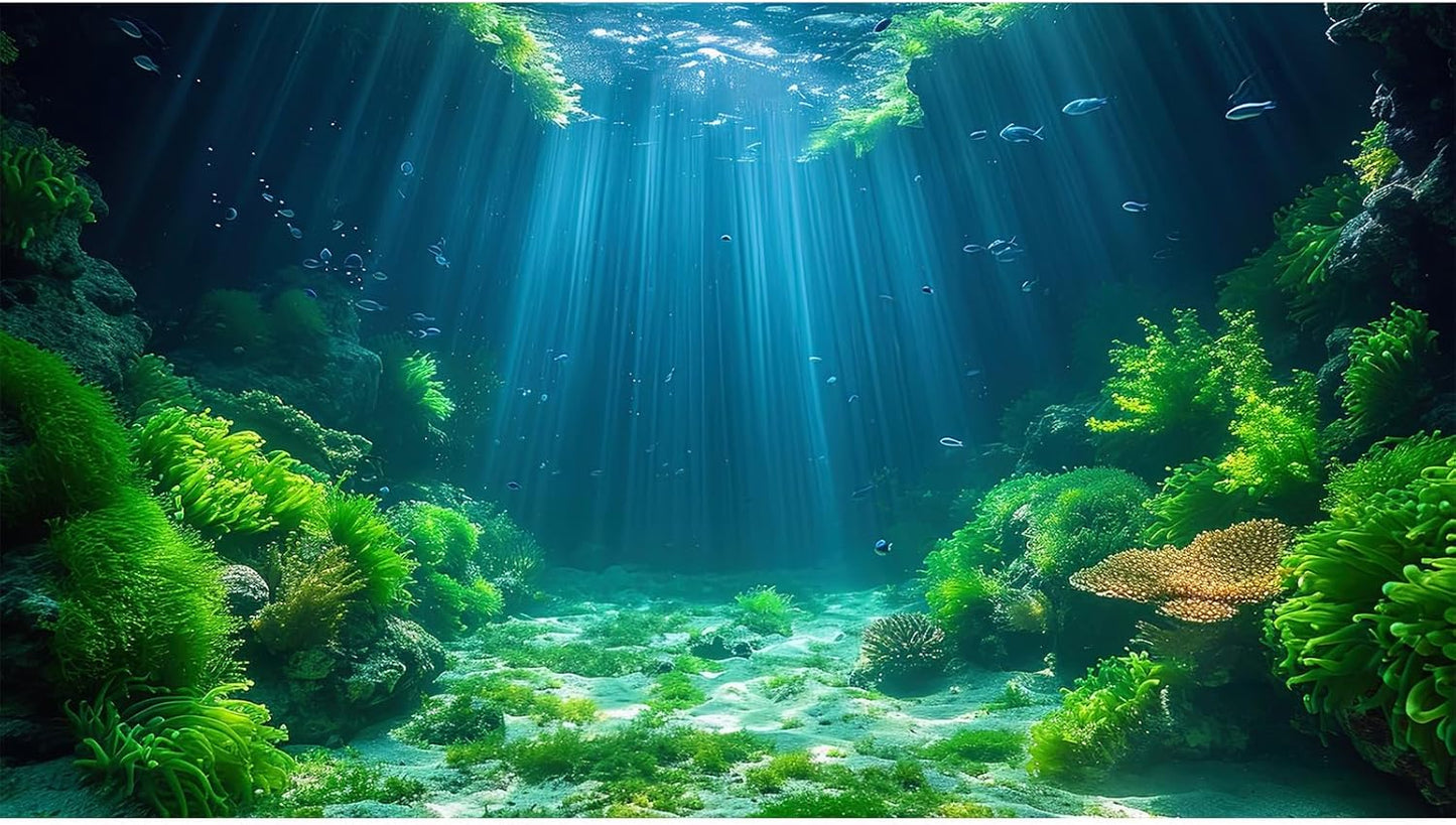 Aquarium Background Aquatic Plants Soft Algae Terrarium Backdrop Underwater World Fish Rock with Moss Sunlight Rays Fish Tank Background Aquarium Wallpaper Poster Decor Vinyl 72x16in