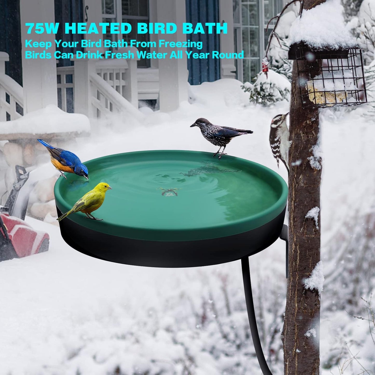 Heated Bird Bath, 3 Easy Ways to Mount Heavy Duty Metal Pedestal Detachable Bird Bath Bowl for Easy Cleaning, 75W Heated Bird Baths for Outdoors for Winter Garden Yard Patio Lawn, Green