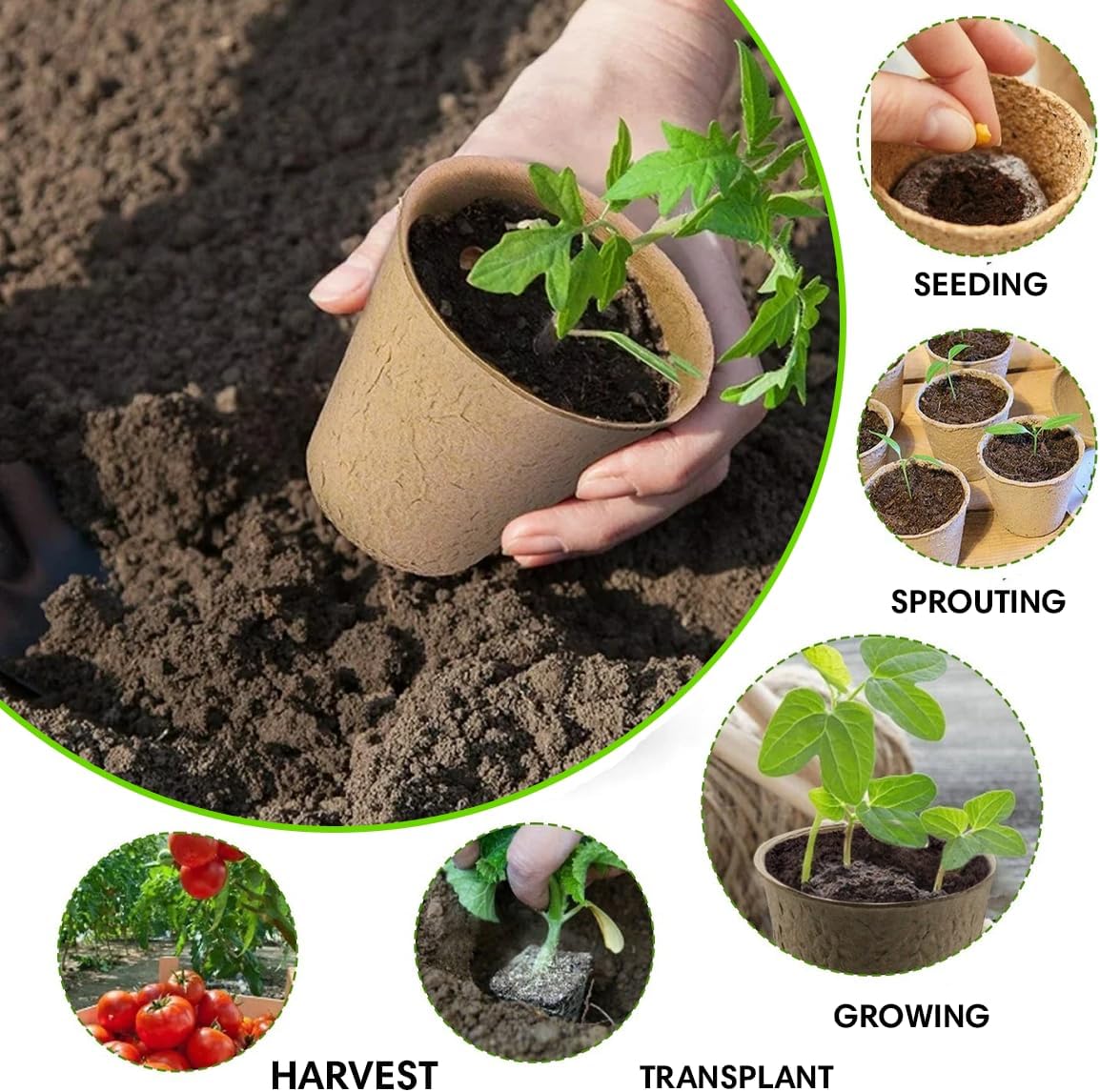 Seedling Starter Kit Germination Grow Cups and Soil (10 Pack) Biodegradable Peat Pots, Coco Coir Soil Discs, Plant Markers - Organic Grow Kit for Seed Germination, Indoor/Outdoor (1)