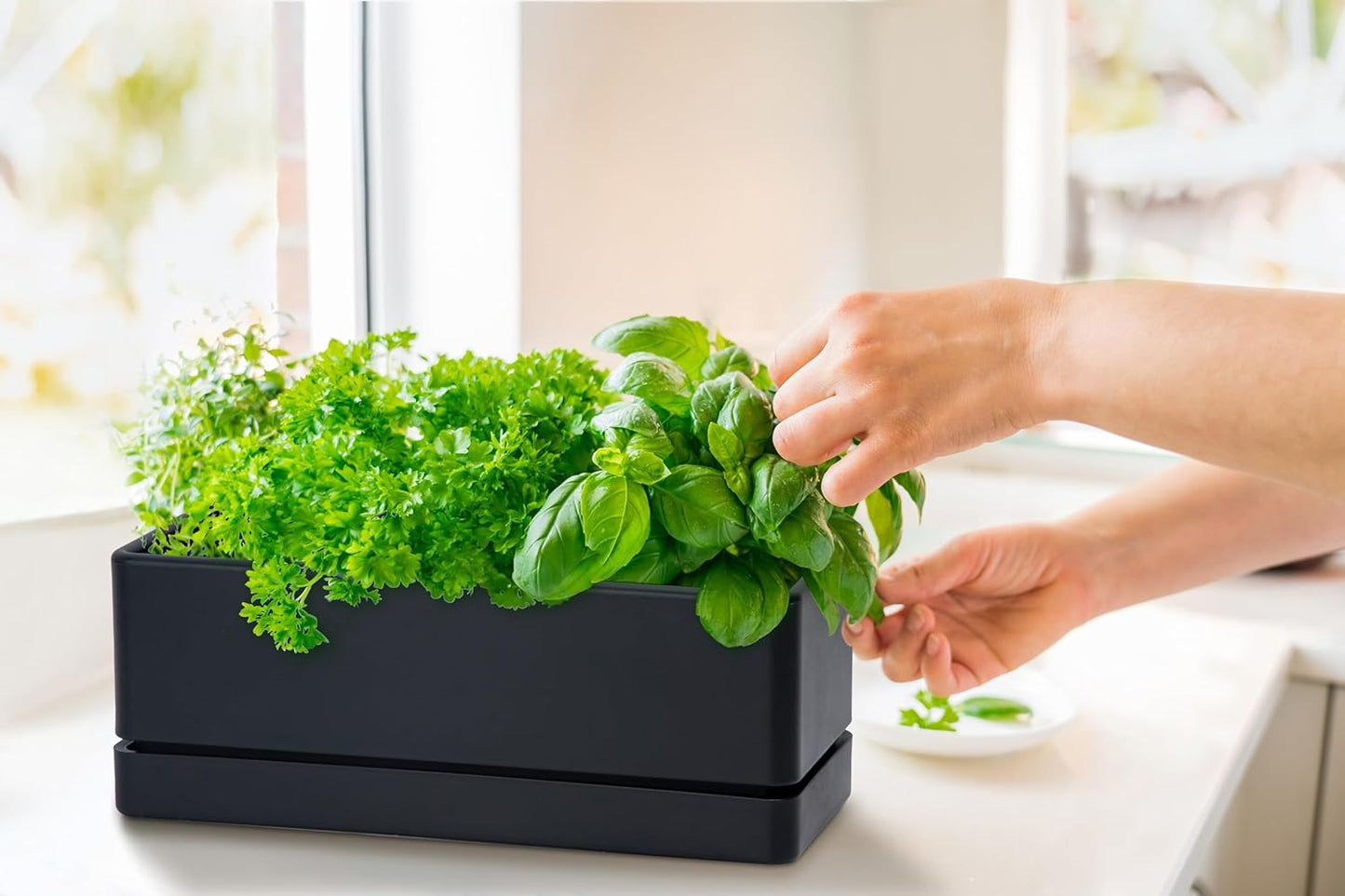 D'vine Dev 12 Inch Window Box Planter, Rectangle Plastic Herb Planter with Drainage Holes and Saucer, Indoor Succulent Cactus Vegetable Pot for Windowsill, Garden Balcony, Black, Set of 2, 76-X-B-2