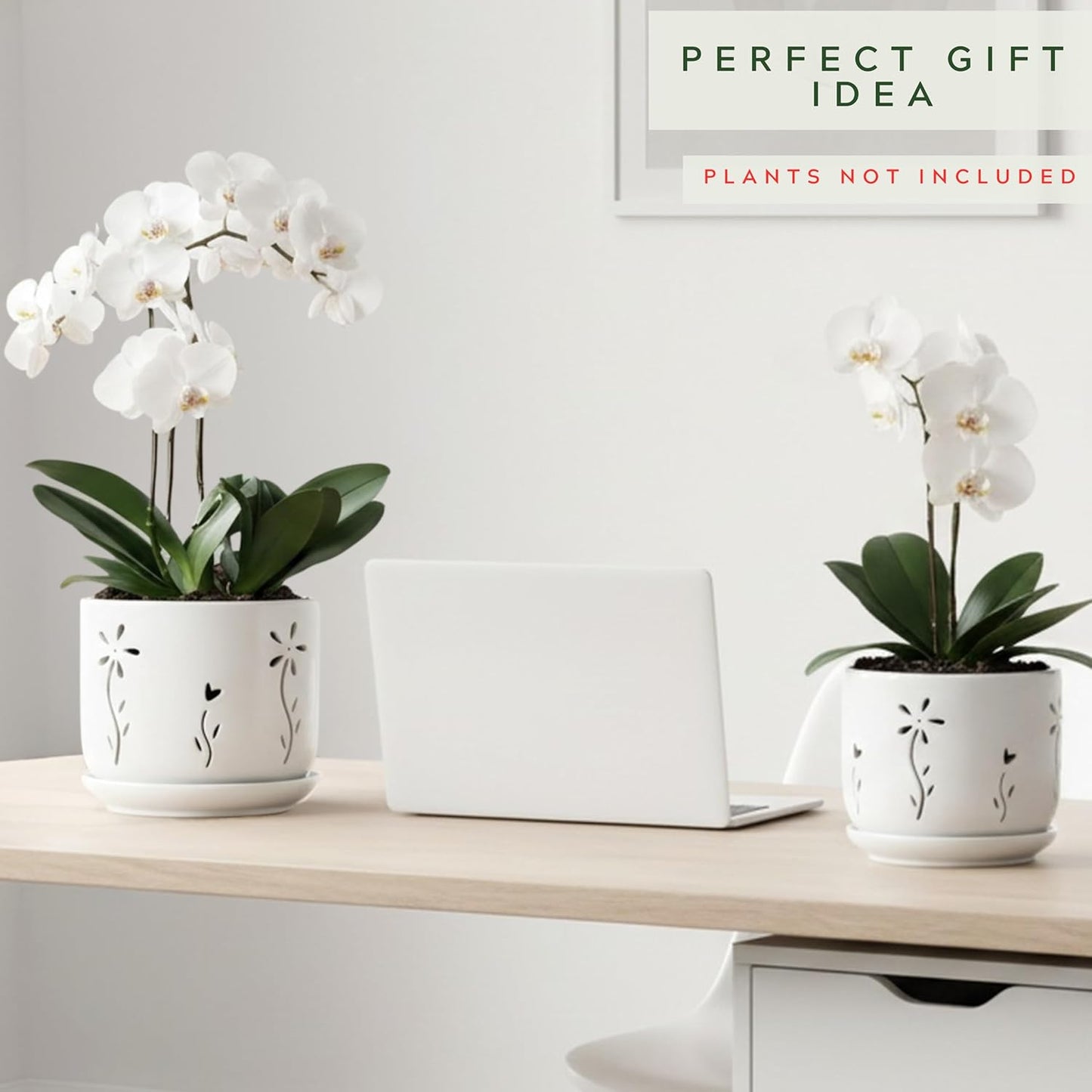 2 Pack, 5 + 6 Inch White Orchid Pots with Holes and Saucer, Ceramic Orchid Planters for Repotting with Drainage Holes and Tray, Plant Flower Pot containers for Orchid Indoor Outdoor
