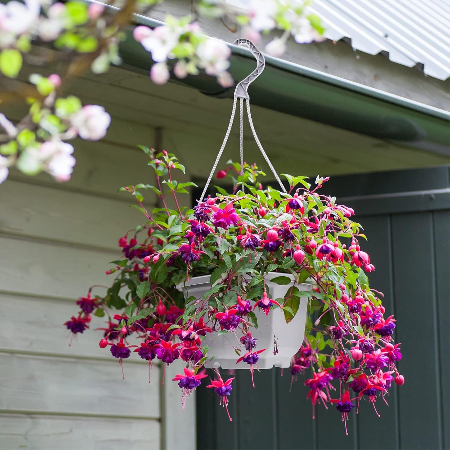 Roshtia 24 Pcs Hanging Plastic Planter Pot with Hook Flower Pots Baskets Hanging Nursery Planter Holder for Outdoor Indoor Plant Garden(Ceramic White,6.7 Inch)