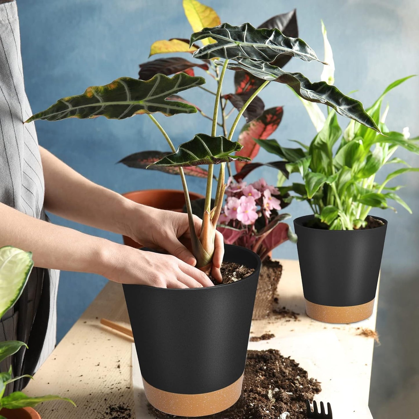 GARDIFE Plant Pots 7/6.5/6/5.5/5 Inch Self Watering Planters with Drainage Hole, Plastic Flower Pots, Nursery Planting Pot for All House Plants, African Violet, Flowers, and Cactus,Black