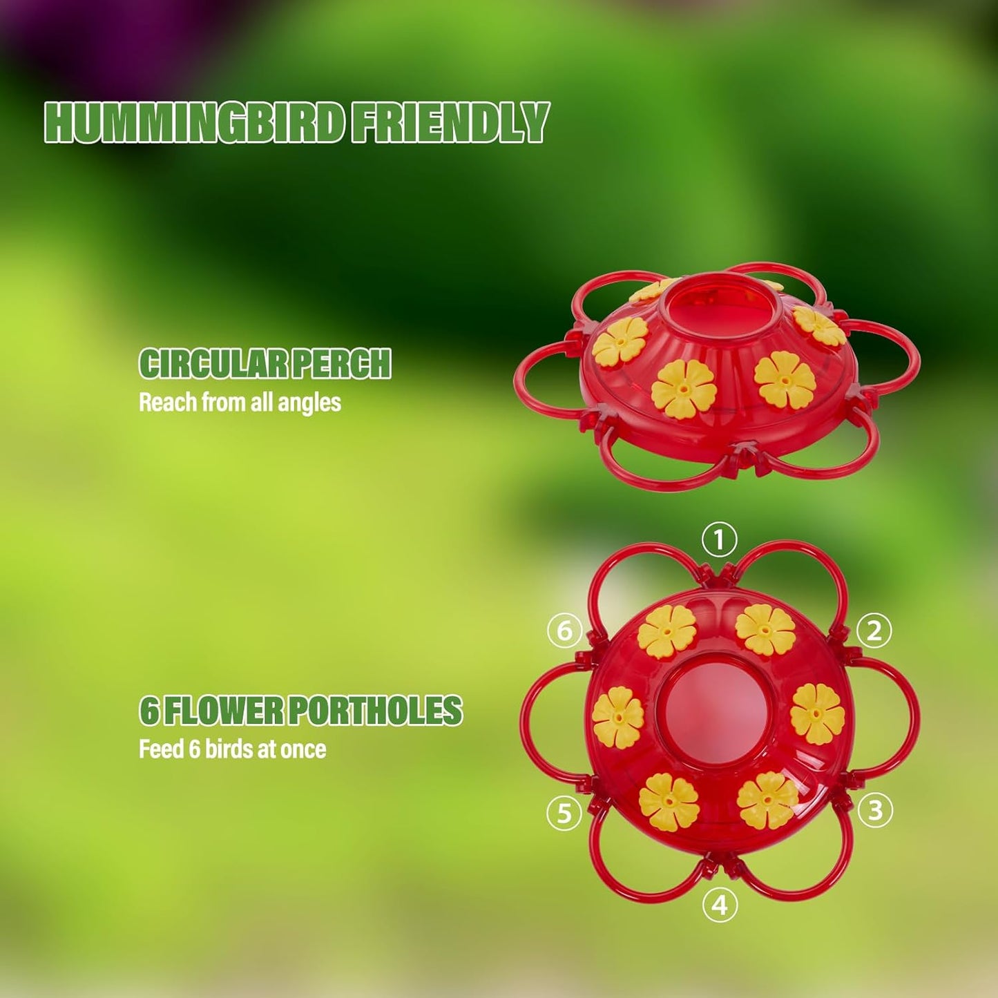 Hummingbird Feeder 20 oz Glass Hummingbird Feeders for Outdoors, with Built-in Ant Guard and Bee Proof - 6 Feeding Ports - Wide Mouth for Easy Filling/2 Part Base for Easy Cleaning