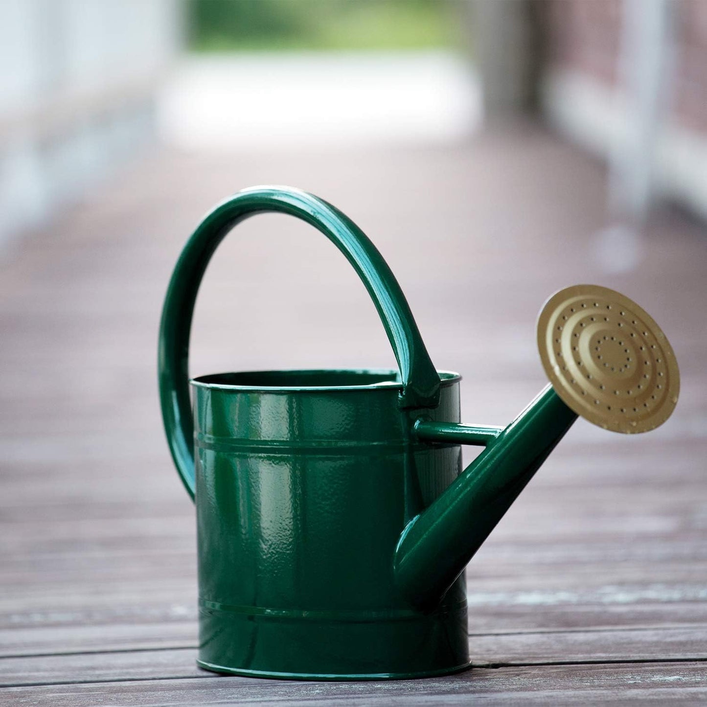 1.3 Gal Watering Can, Metal Watering Can with Removable Spout, Galvanized Water Can, Nice Plant Water Can for Indoor and Outdoor Use