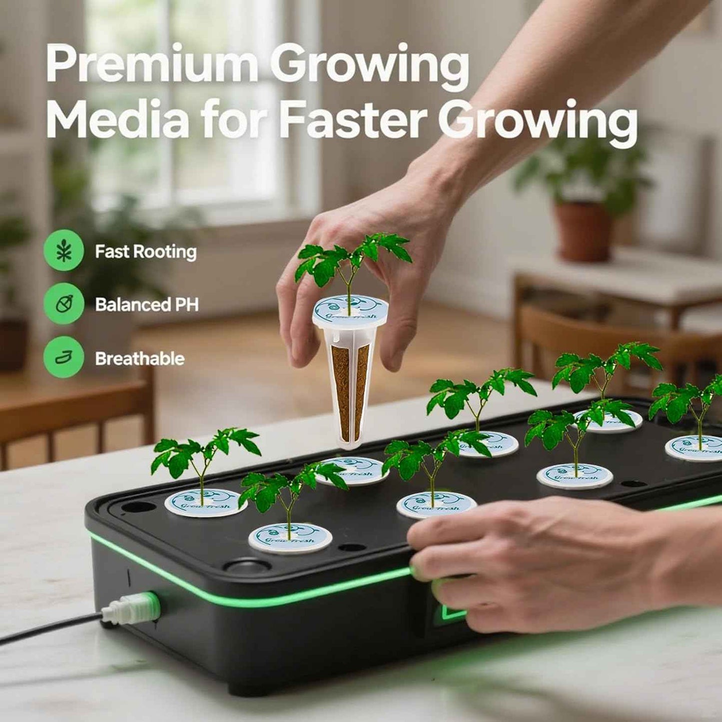 Salad Seed pod Kit for AeroGarden, Includes Spinach/Romaine Lettuce/Cherry Tomato Seed - Hydroponics Supplies for Most Brands 8-POD