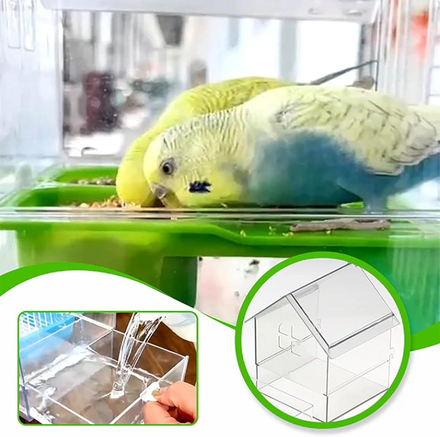 Ziveseller/Sowhathow Pull-Out External Parrot Feeder, Parrot Feeder Parakeet House Bird Bath Transparent Dish Water, Hanging Wild Bird Seed with Squirrel Proof Tray (Green)