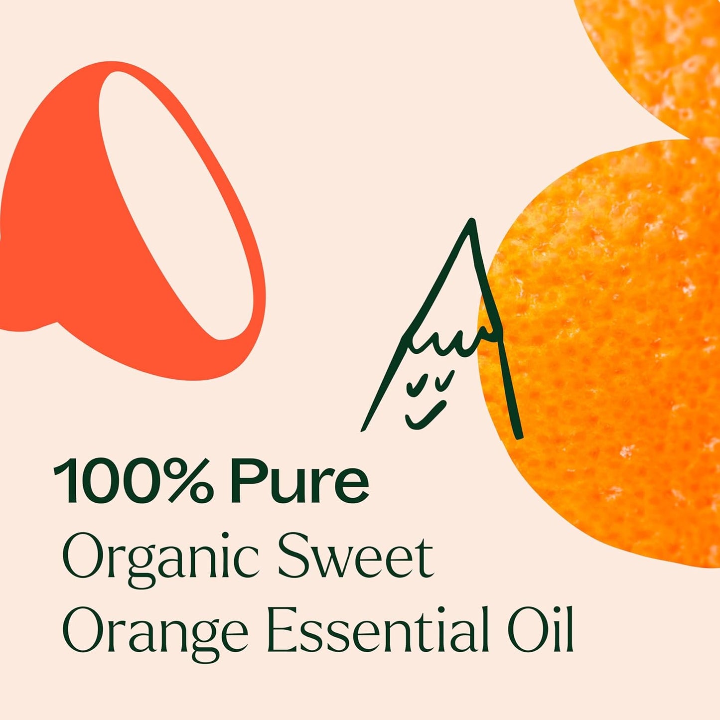 Plant Therapy Sweet Orange Organic Essential Oil 100% Pure, USDA Certified Organic, Undiluted, Natural Aromatherapy, Therapeutic Grade 30 mL (1 oz)