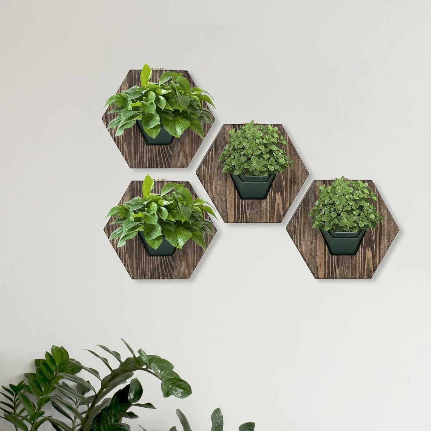 Hexagonal Wooden Wall Planter, Self Watering Living Vertical Planter Indoor, Wooden Frame Planter Wall Decoration Home Office,2pc Walnut