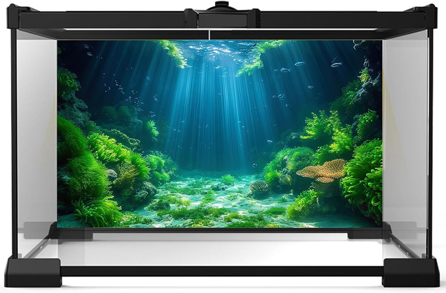 Aquarium Background Aquatic Plants Soft Algae Terrarium Backdrop Underwater World Fish Rock with Moss Sunlight Rays Fish Tank Background Aquarium Wallpaper Poster Decor Vinyl 60x24in