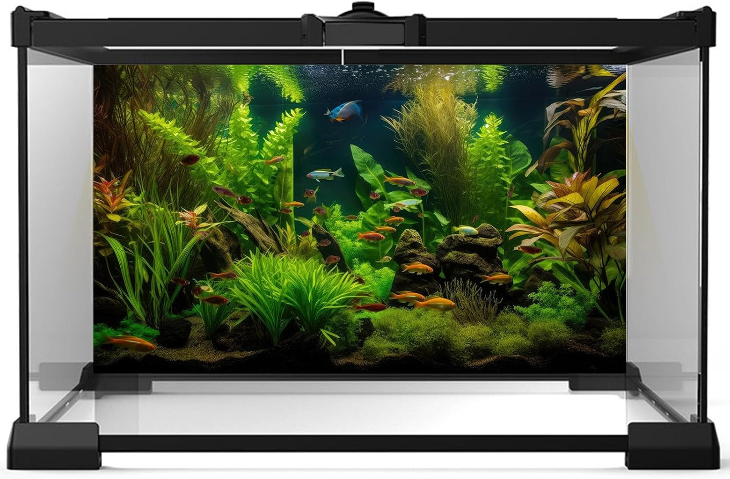 Aquarium Background Tropical Freshwater Colorful Fish Plants Fish Tank Background Tranquil Under The Sea Aquatic Plants Cork Redwood Root Lush Green Moss Reptile Tank Terrarium Background 30x18in
