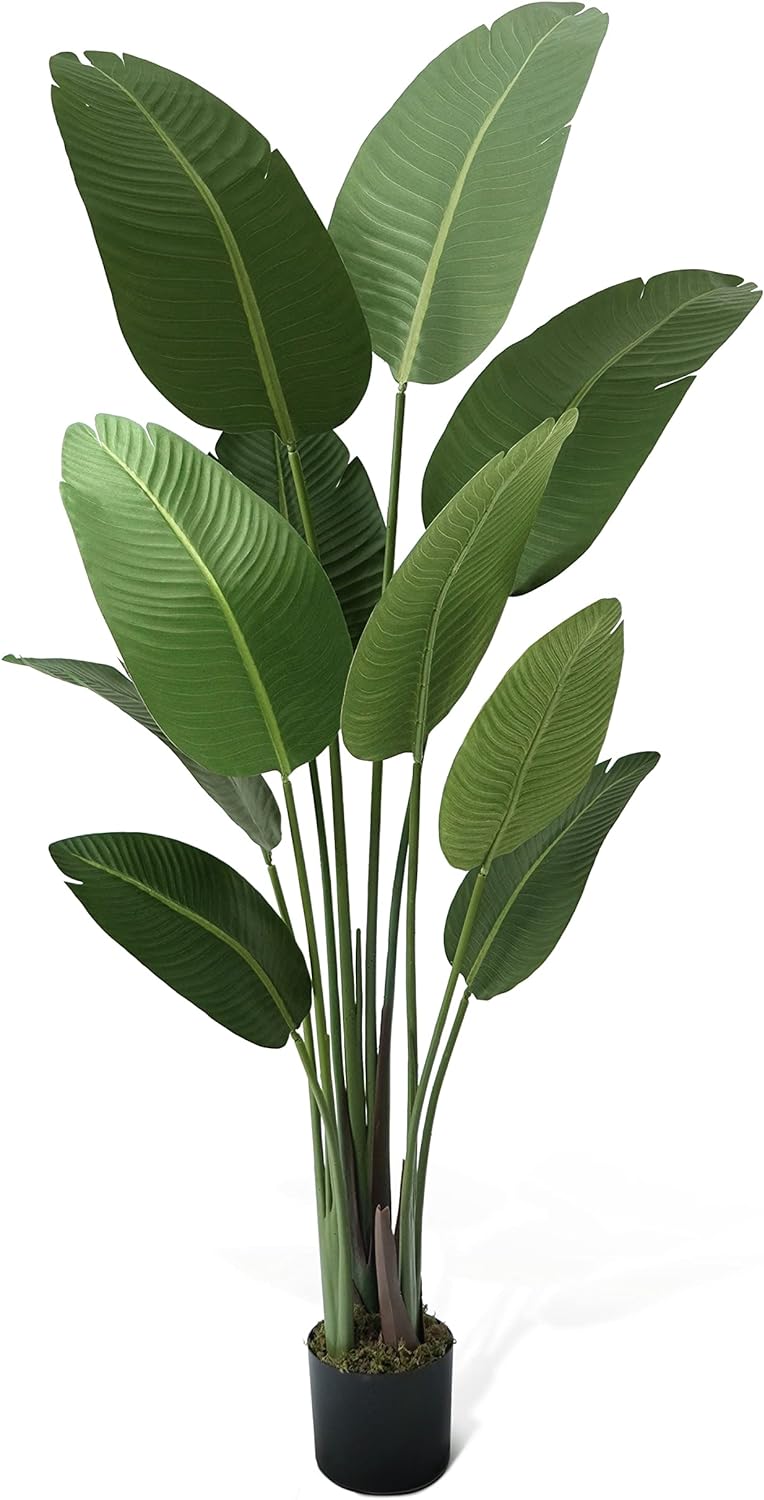 CAPHAUS 5 Feet Artificial Bird of Paradise, 60 Inch with 10 Trunks, Premium UV Resistant Lifelike Fake Plant in Pot with Dried Moss for Office, Indoor/Outdoor Use & Tropical Home Décor