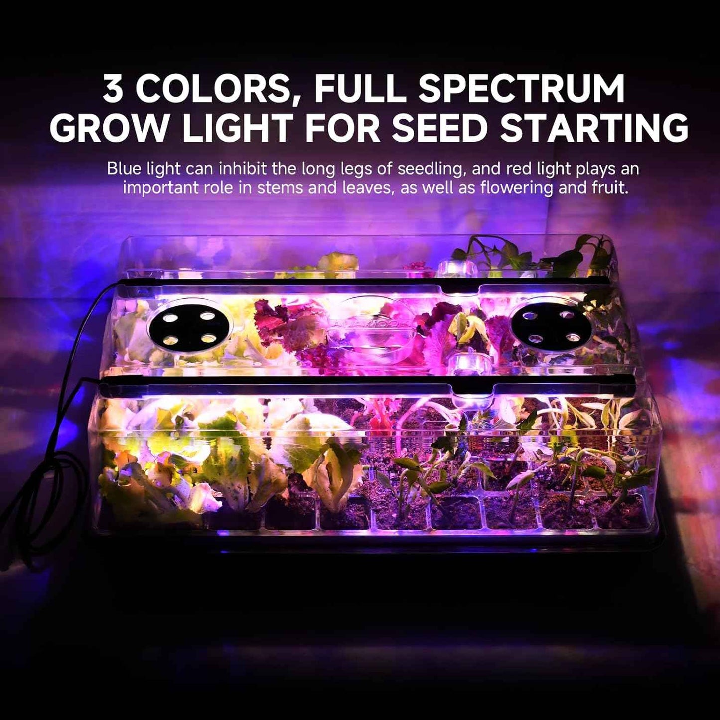 Adawook Seed Starter Trays with Grow Lights, Color Change Grow Lights for Seed Starting Kit, 3 Timming Set, Indoor Plant Growing Kit for Gardeners, Germination Trays Kits, Gardening Gifts (60 Cells)