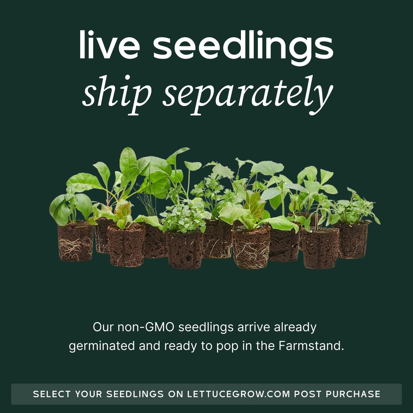 Farmstand Starter Kit with Glow Rings and 18 Seedling Credits | Small Hydroponic Growing System Kit | Vertical Garden Planter Tower | 4ft 3in Tall