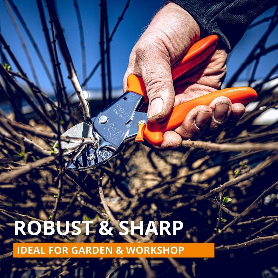 Original LÖWE Professional Anvil Pruner Garden Tools 1.104 | Robust & Sharp Hedge Trimmer | Use As Pruners, Garden Shears, Heavy Duty Handheld, Pruning Shears for Gardening | Made in Germany