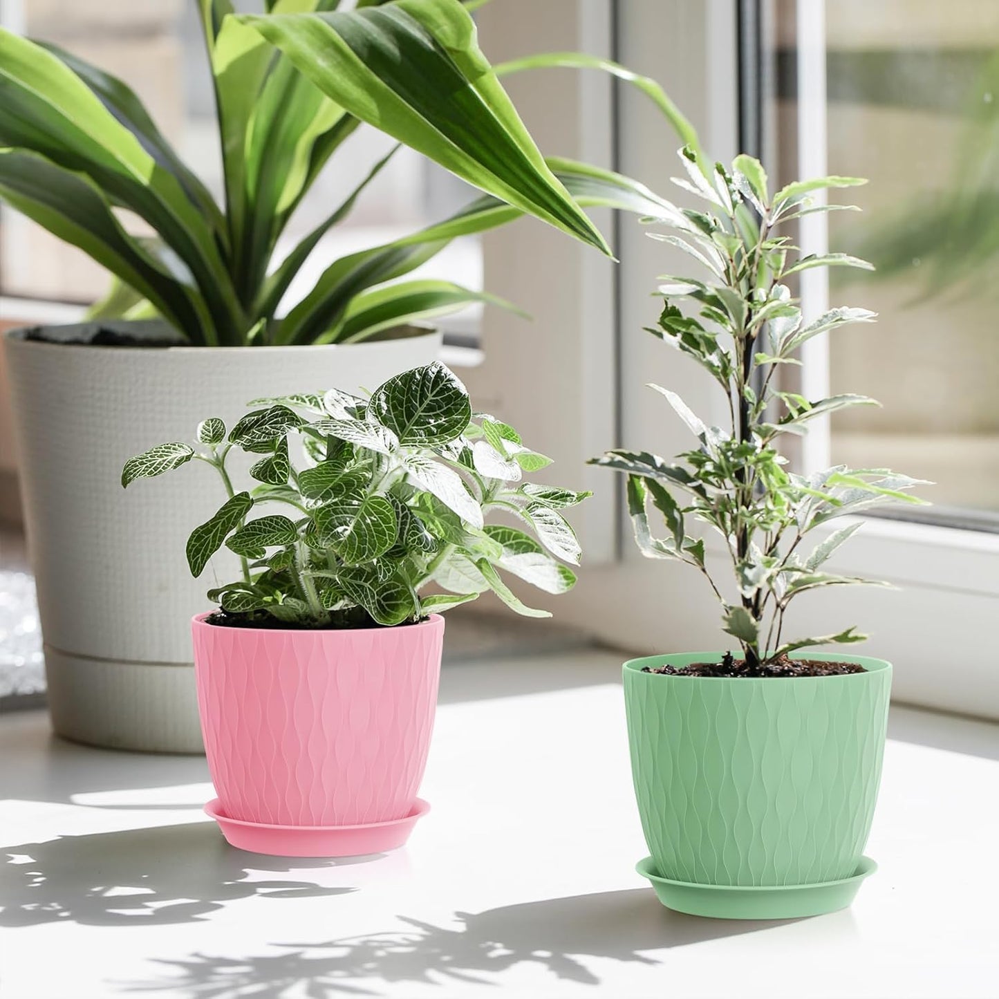 WSMKSZ 7 inch Plant Pots, 5 Pack Flower Pots with Drainage Holes and Saucers for Indoor Plants, Plastic Planters with Water Ripple for Small Garden House Plants, Nursery Pots for Succulent, Colorful