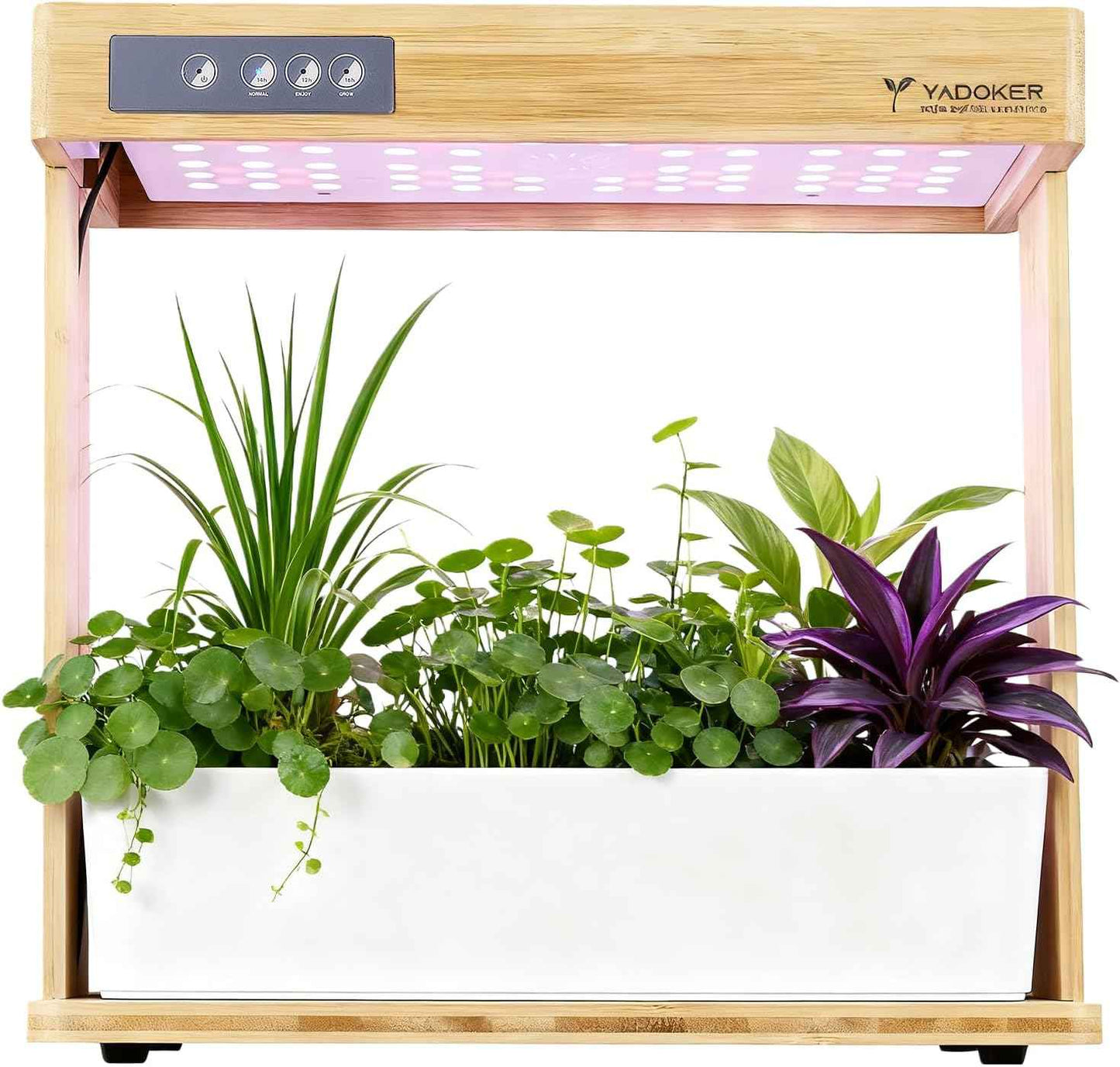 yadoker Indoor Hydroponic Garden System, 8 Pods Smart Growing Kit with LED Grow Light, Automatic Timer, Pump System & 3.5L Water Tank – Ideal for Herb Cultivation (No Seed)