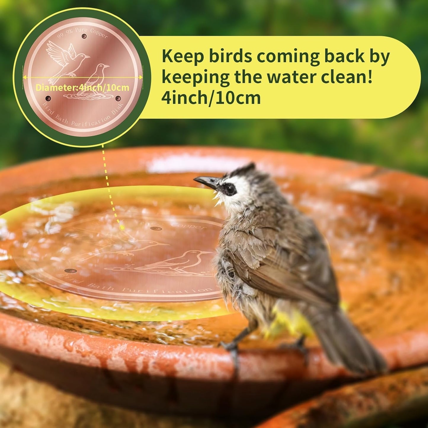Bird Bath Copper Disk, 99.99% Pure Copper Bird Bath Cleaner, Triple-Point Support, All-Season Water Cleaber for Outdoor Bird Baths & Bowls (1 Pcs)