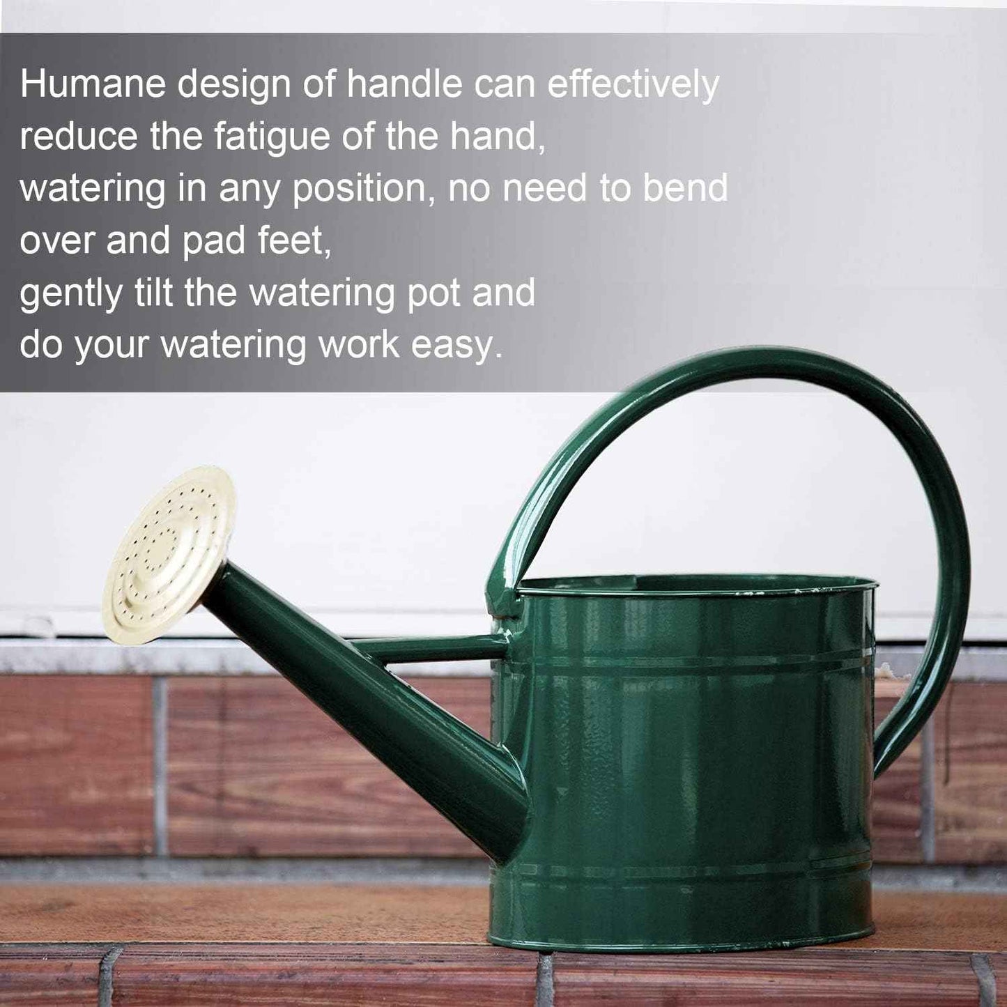 1.3 Gal Watering Can, Metal Watering Can with Removable Spout, Galvanized Water Can, Nice Plant Water Can for Indoor and Outdoor Use