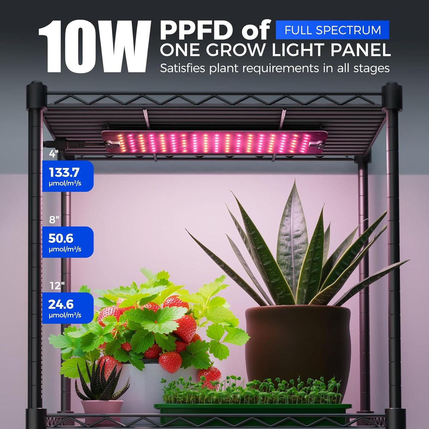 CX83Z Indoor Greenhouse with Grow Light, 4-Tier Corner Plant Stand, 30W Full Spectrum Growing Light Panels, Mini Greenhouse with Tent for Seed Starting, 3/6/12h Timer, 15.7 x 11.8 x 59.1IN