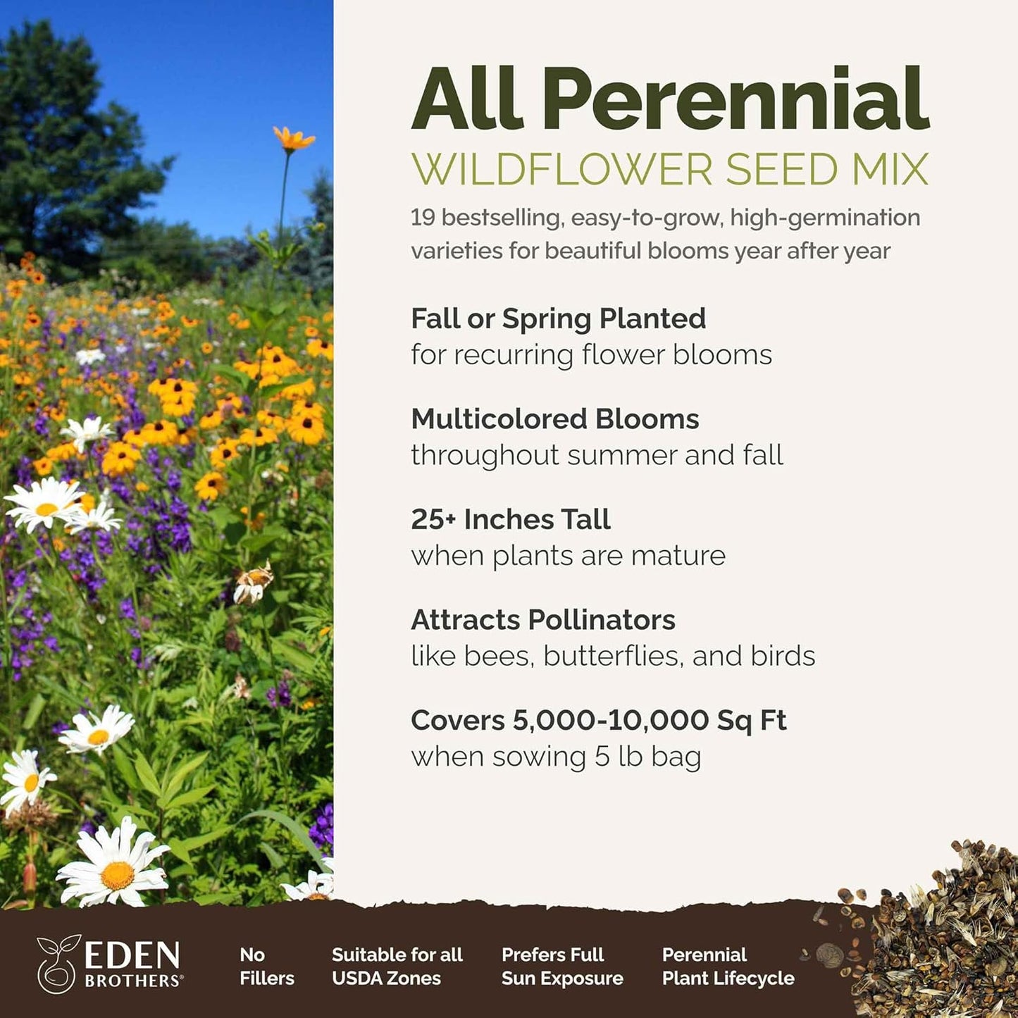 Eden Brothers All Perennial Wildflower Mixed Seeds for Planting, 5 lb, 2,400,000+ Seeds with Lupine, Shasta Daisy| Attracts Pollinators, Plant in Spring or Fall, Zones 3, 4, 5, 6, 7, 8, 9, 10