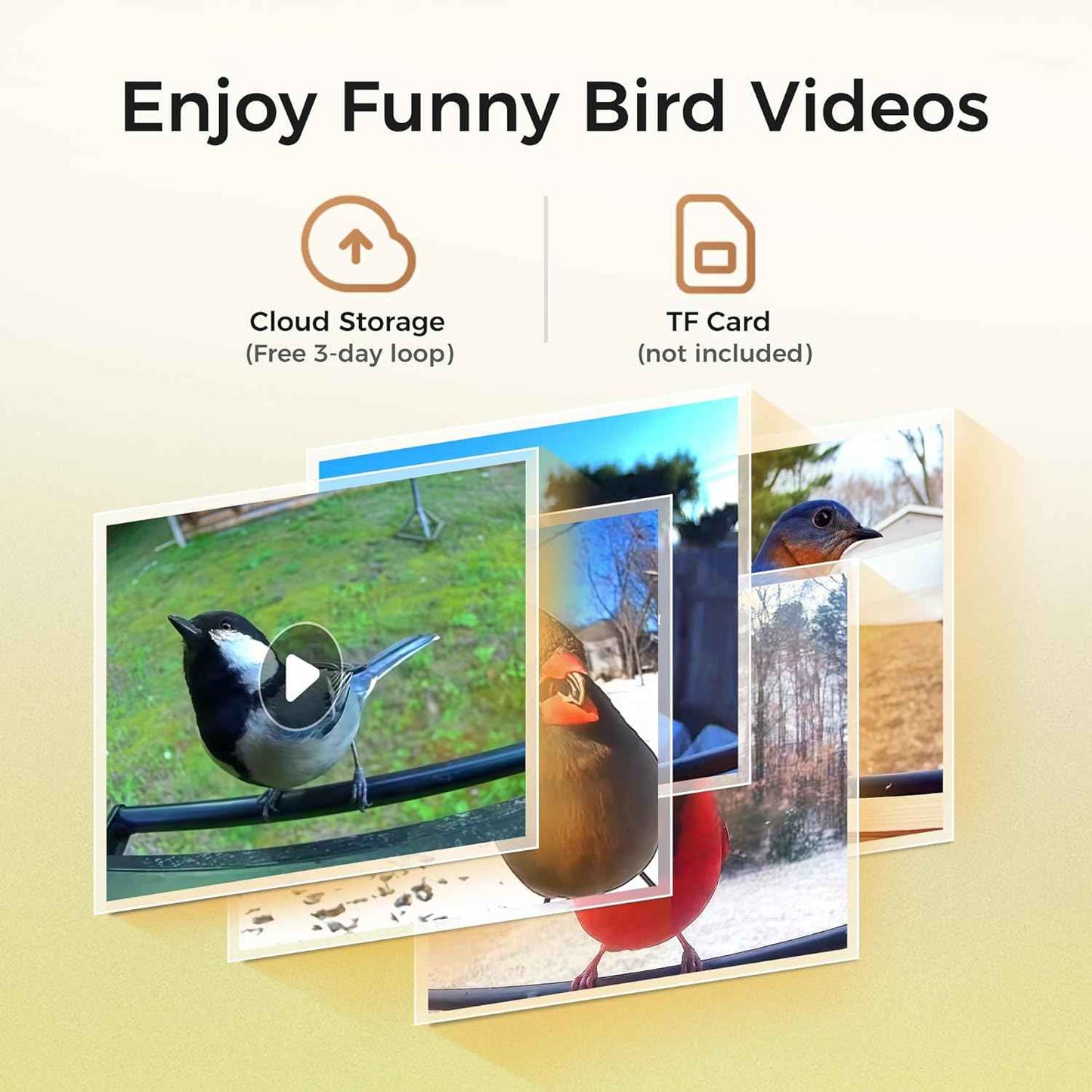 TT Nature Upgrade Squirrel-Proof Bird Feeder with Camera, Solar Powered, Smart AI Bird Species Recognition, Instant Notification, CCPA Data Security, Bamboo 3.2L Large Capacity, Ideal Gift
