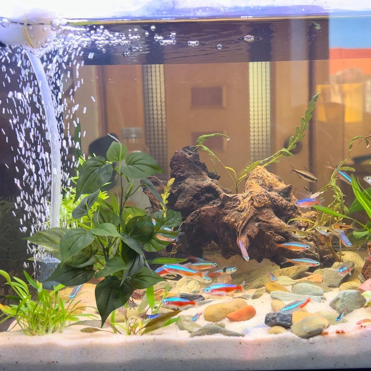 M2cbridge Artificial Fish Tank Plants Aquarium Plant Aquatic Water Grass Foreground Decor (1PC Green)