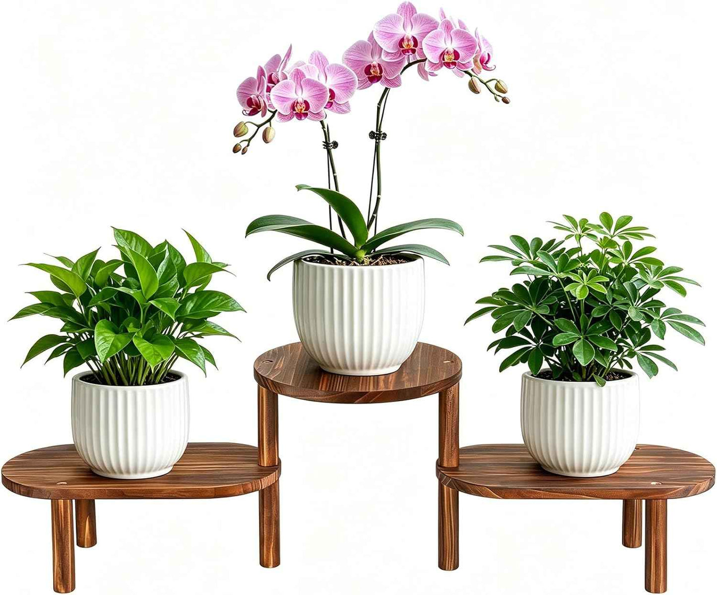 3 Tier Corner Plant Stand Indoor - Adjustable Wood Convex Flower Stand for Small Spaces, Heavy Duty Long Plant Shelf for Living Room Balcony Hallway
