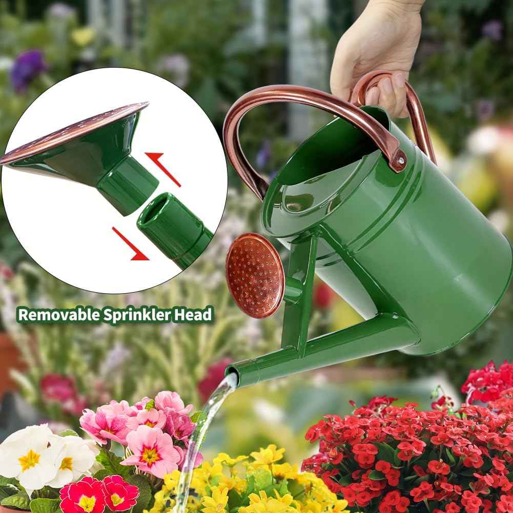 1 Gallon Metal Watering Can with Removable Spout, Nice Galvanized Steel Water Can for Indoor and Outdoor Plants (House Plants)