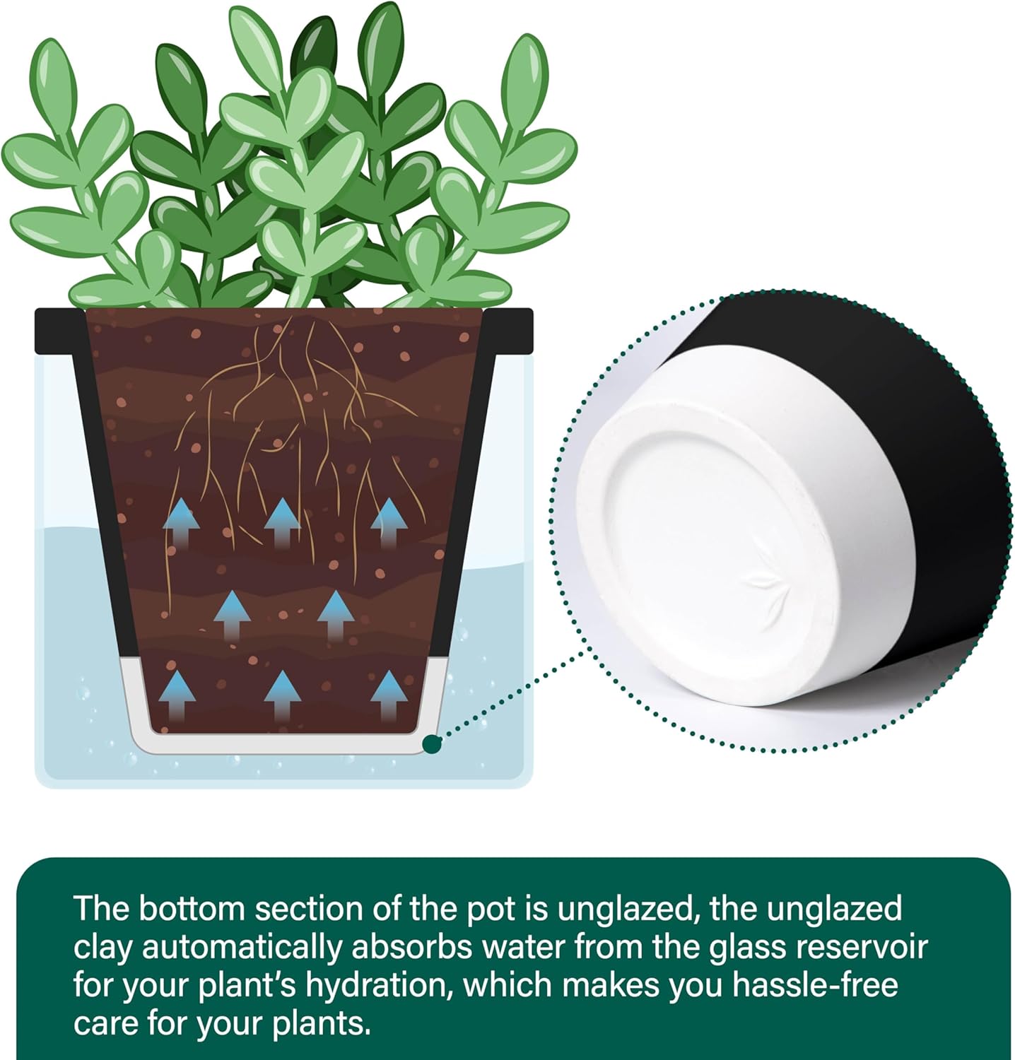 D'vine Dev 4 Inch Design Self Watering Planter for Indoor Plants, Black Terracotta Pot with Cylinder Glass Cup, 37-X-A-3