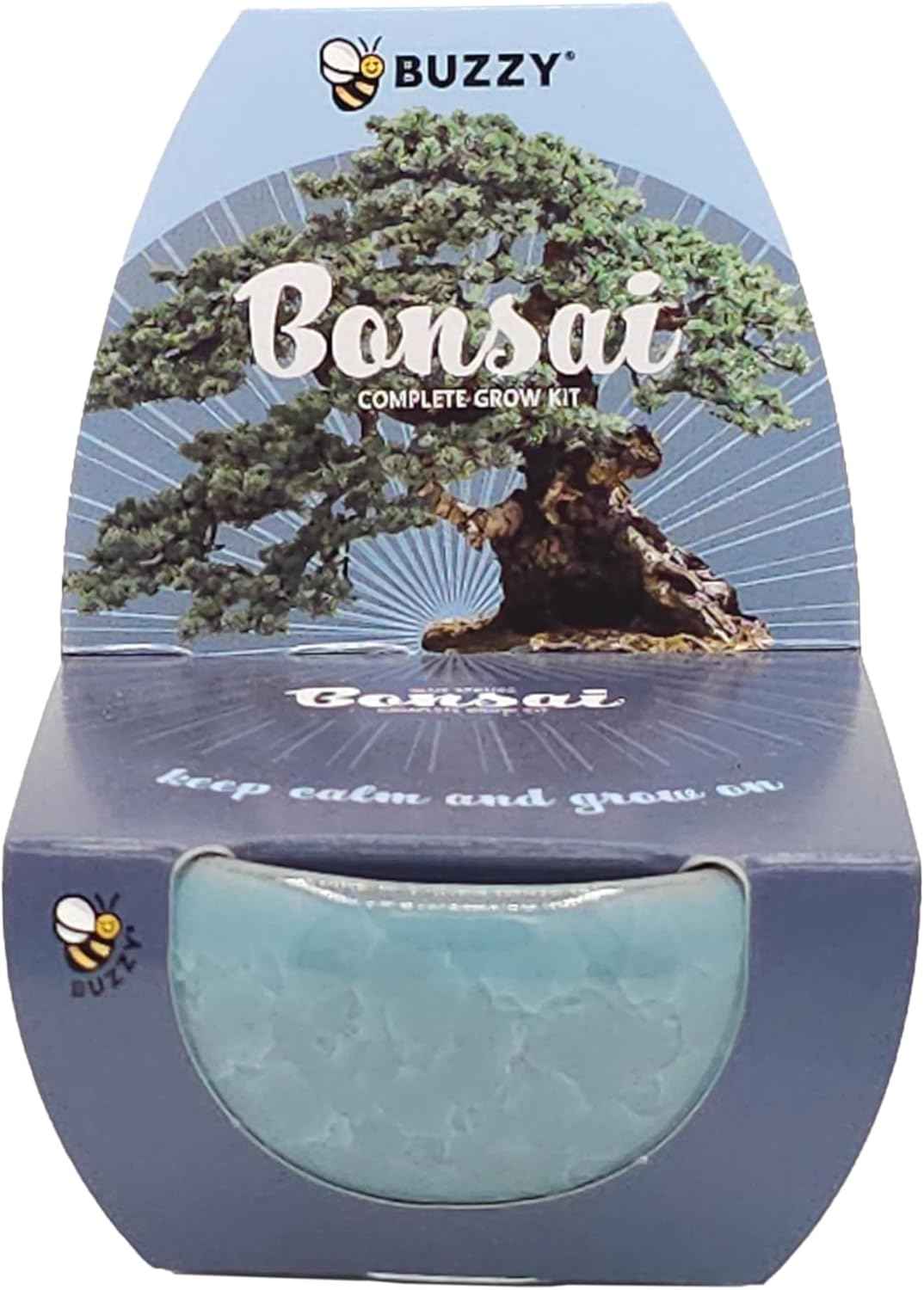 BUZZY Seeds 4-Pack Bonsai Tree Growing Kit Includes Black Austrian Pine, Monterey Cypress, Blue Spruce, Norway Spruce with Green, Blue, Dark Blue, and Gold Crackle Pots, Indoor Gardening Gift Set