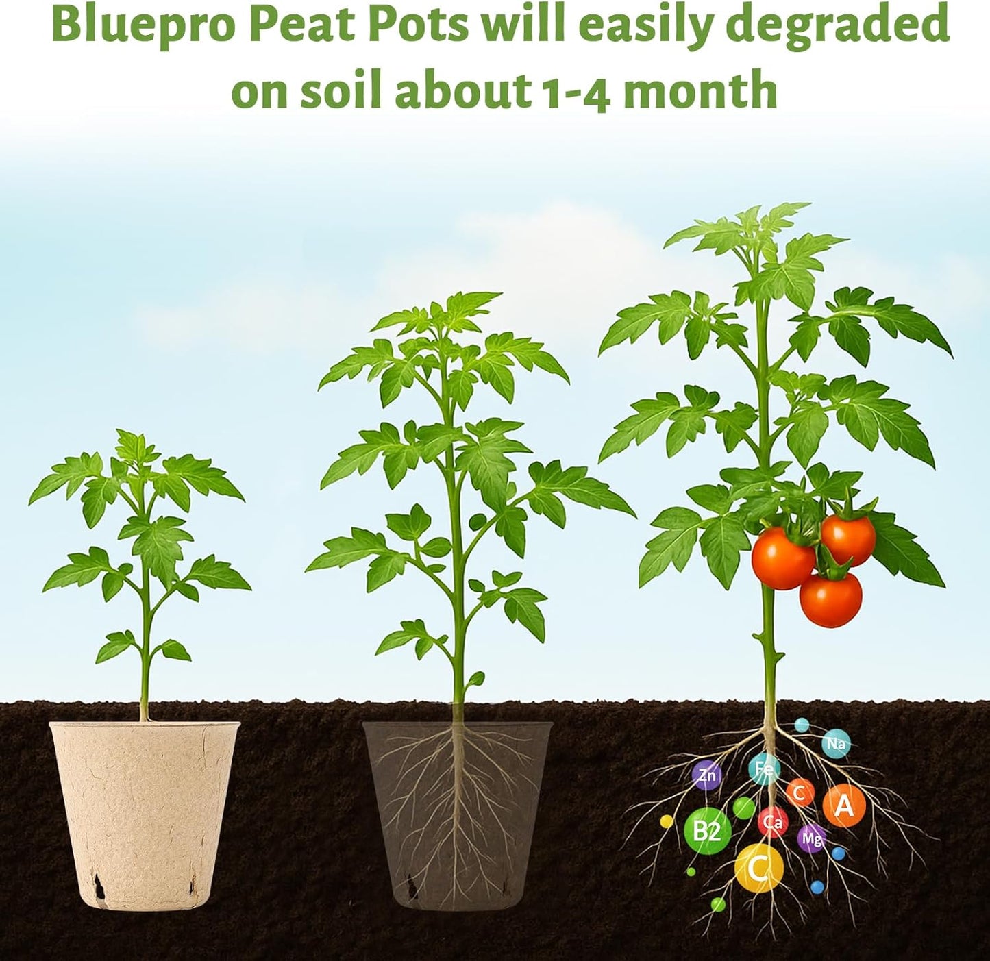 120 Packs 3.15 Inch Peat Pots, Biodegradable Pots for Seedlings with Drainage Holes, Herb Seed Starter
